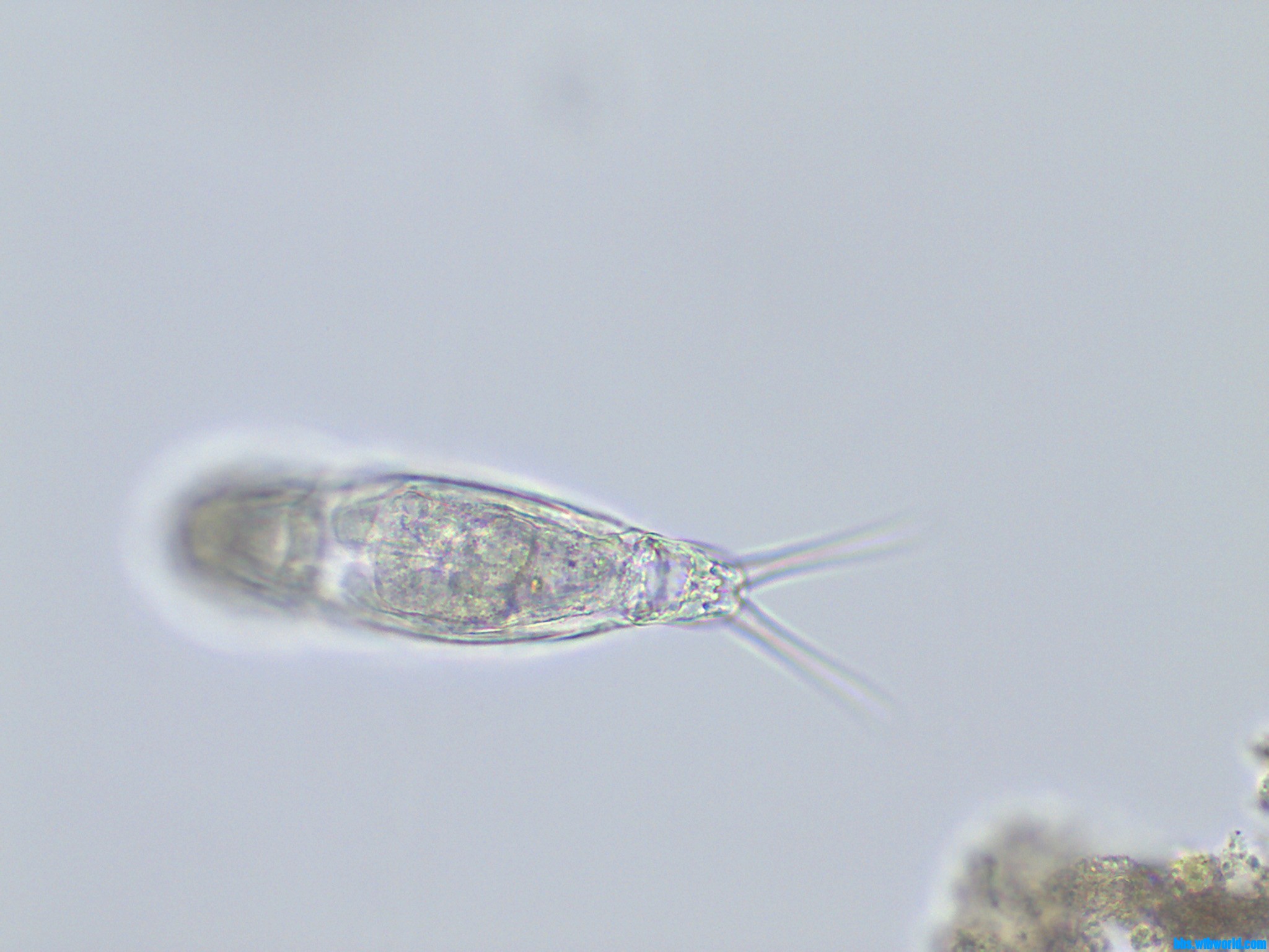 wechat_upload15895923005ebf40ece4a0b