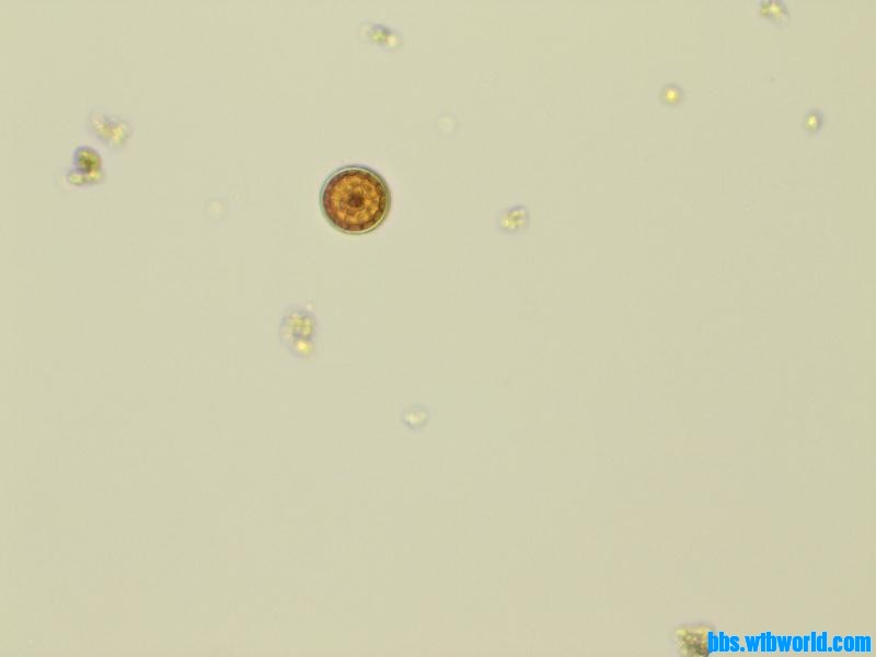 wechat_upload15895924565ebf41887af8a