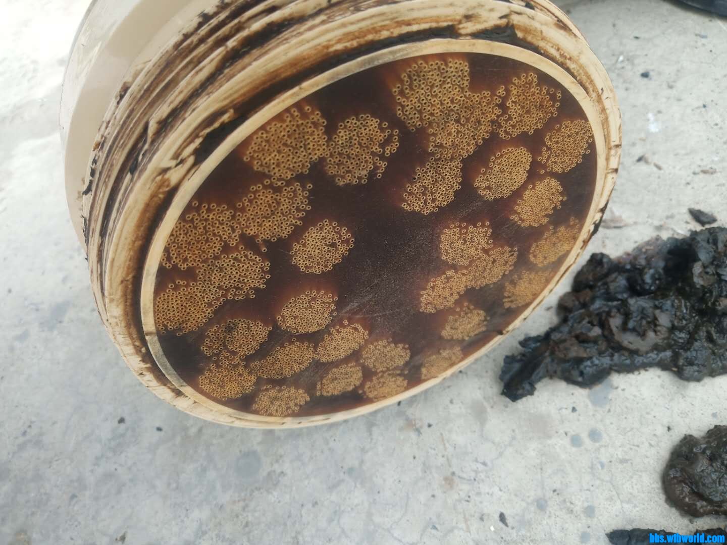 wechat_upload15897891475ec241db3ab55