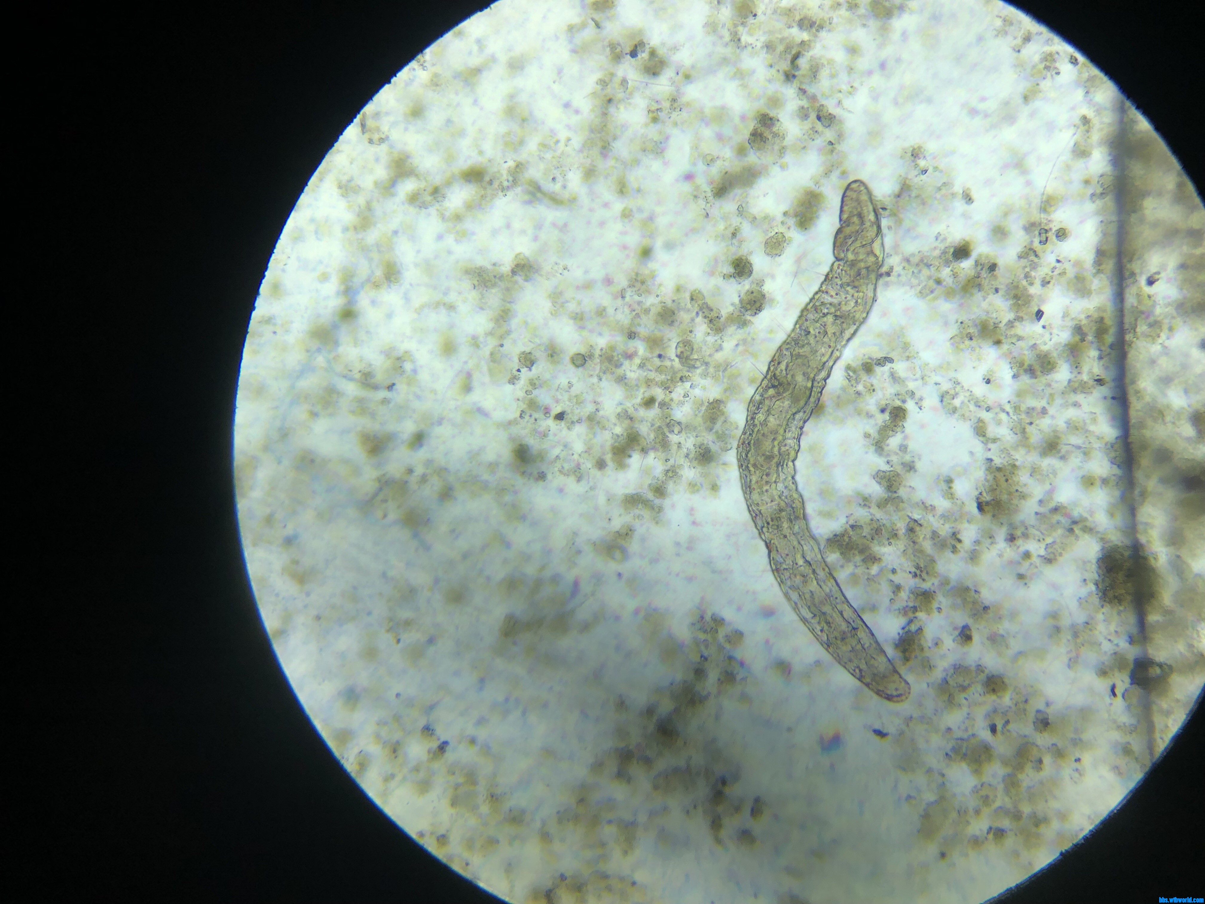 wechat_upload15901401205ec79cd86411b