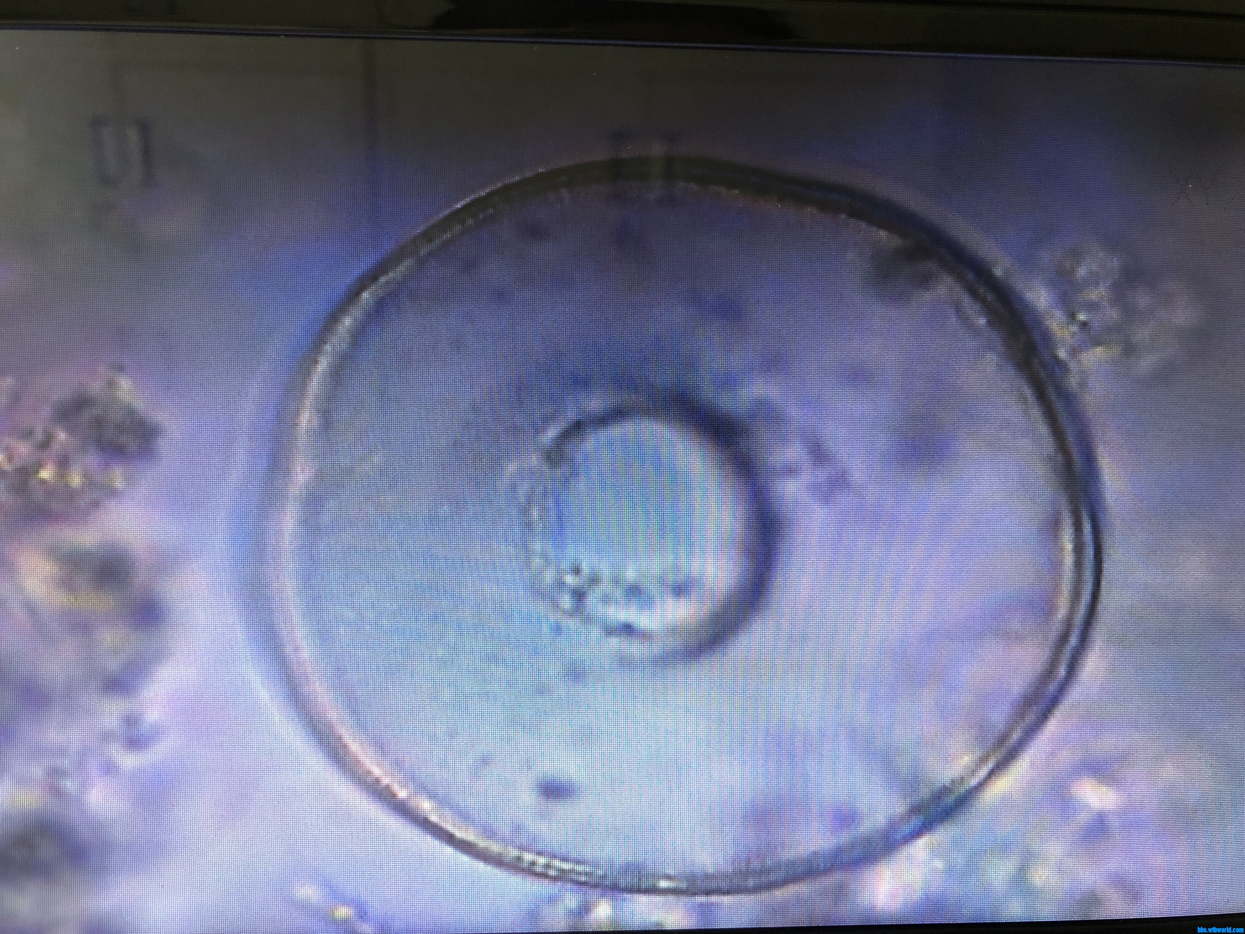 wechat_upload15901401215ec79cd9383ee