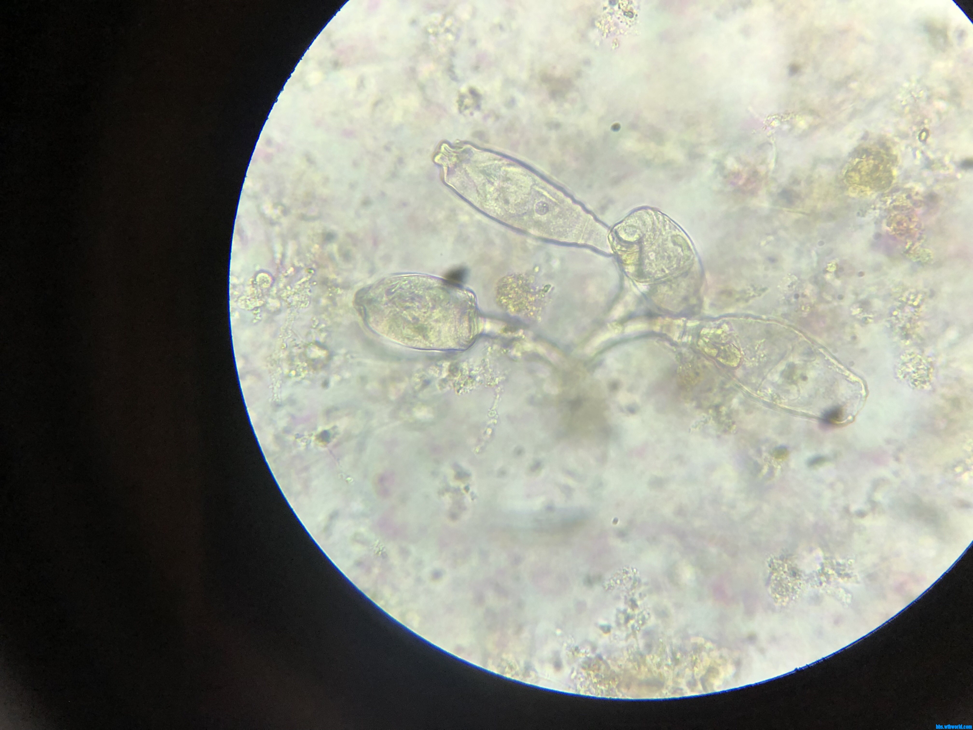 wechat_upload15901401225ec79cdae7d62