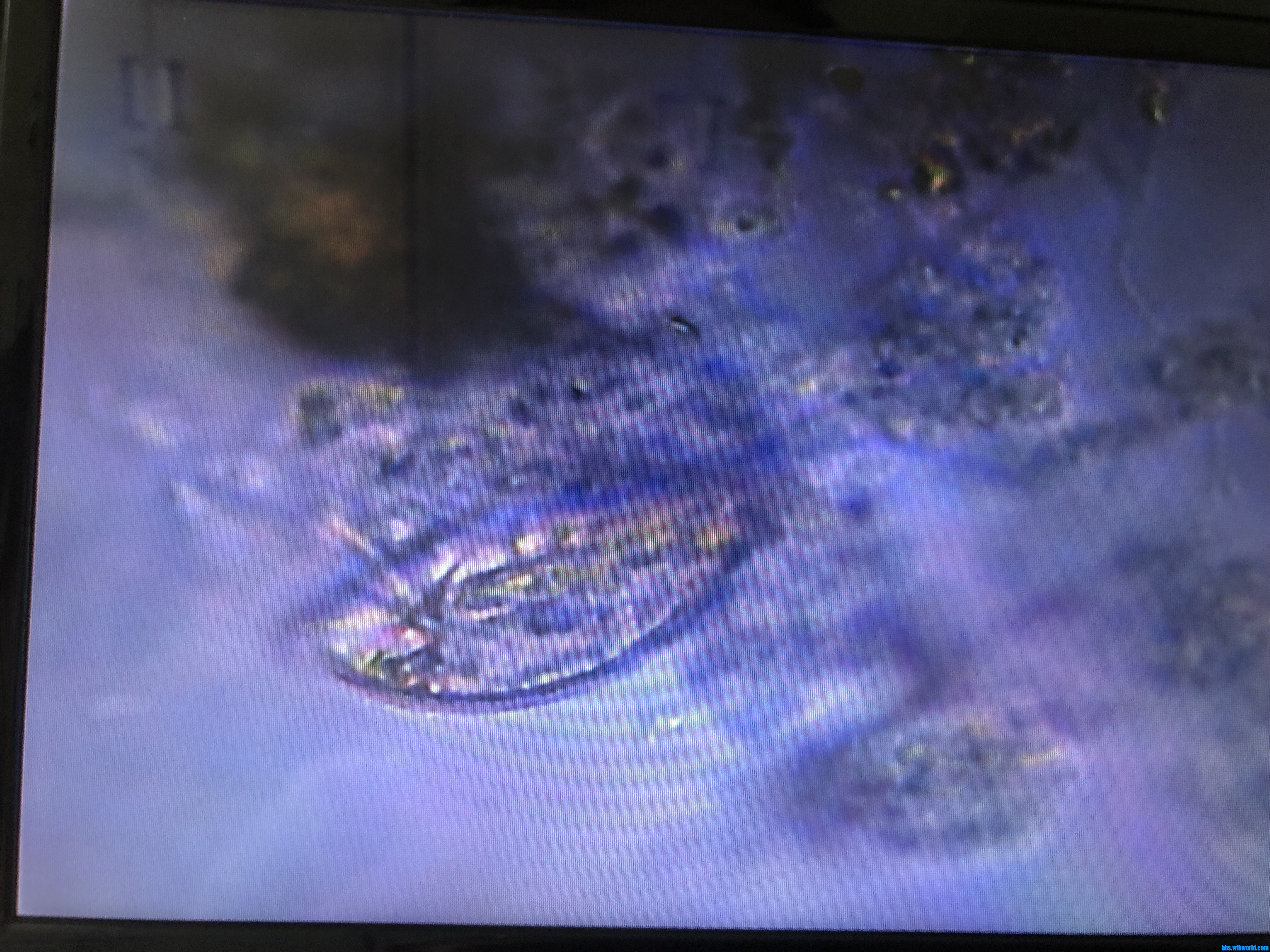 wechat_upload15901401235ec79cdbb6183