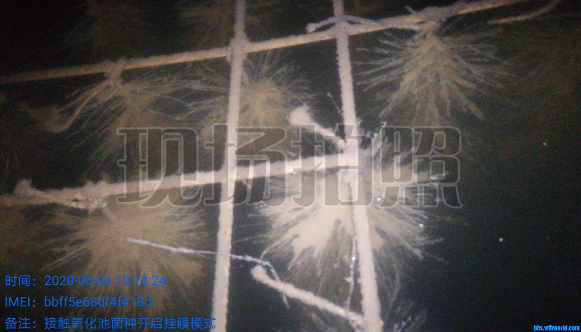 wechat_upload15912696215ed8d8f5edcc7