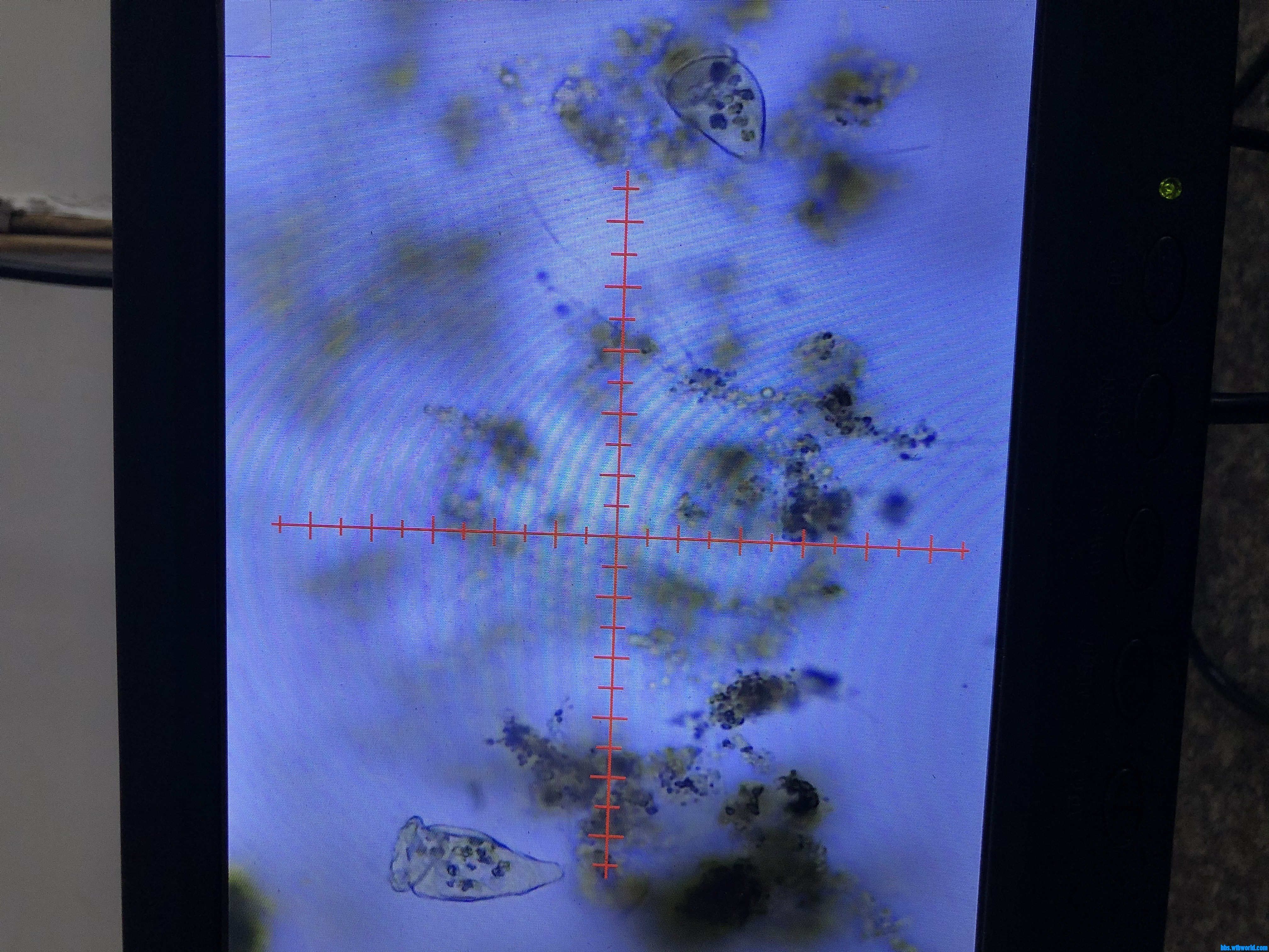 wechat_upload15914905465edc37f297b54