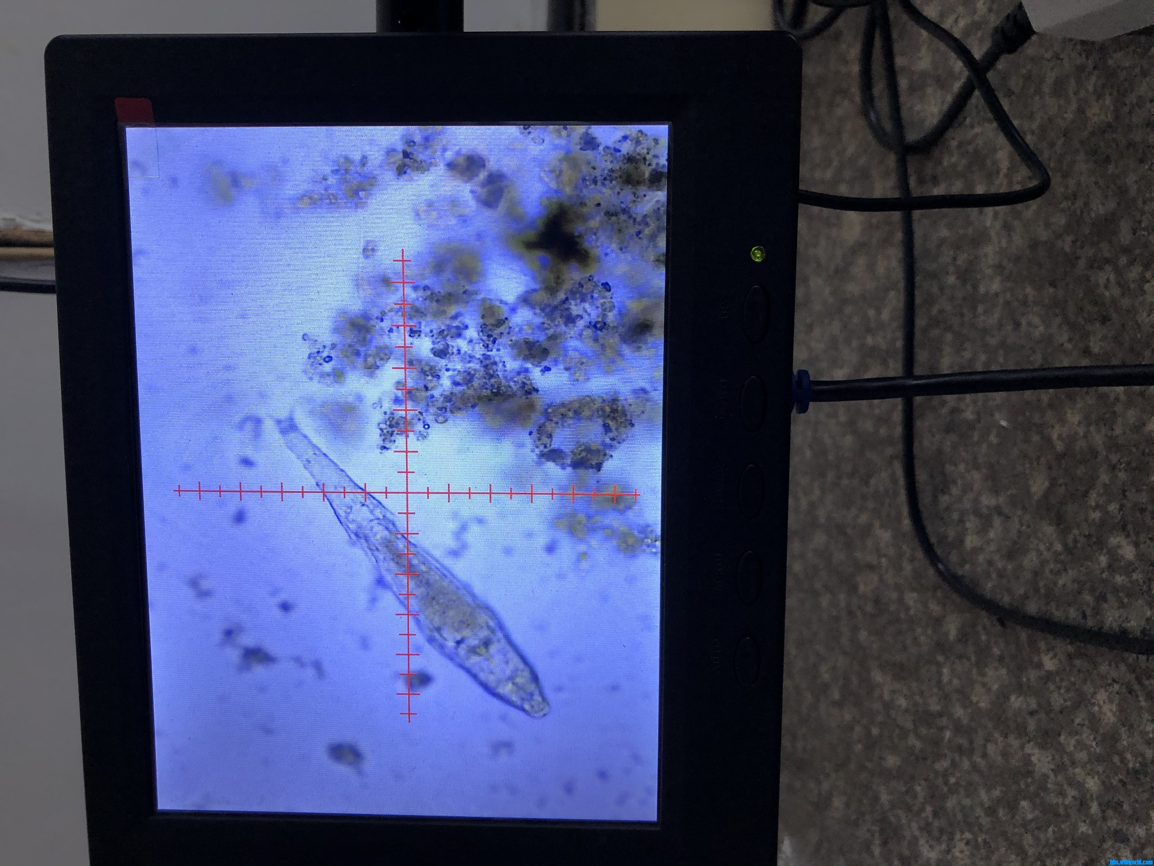 wechat_upload15914905475edc37f37b5d4