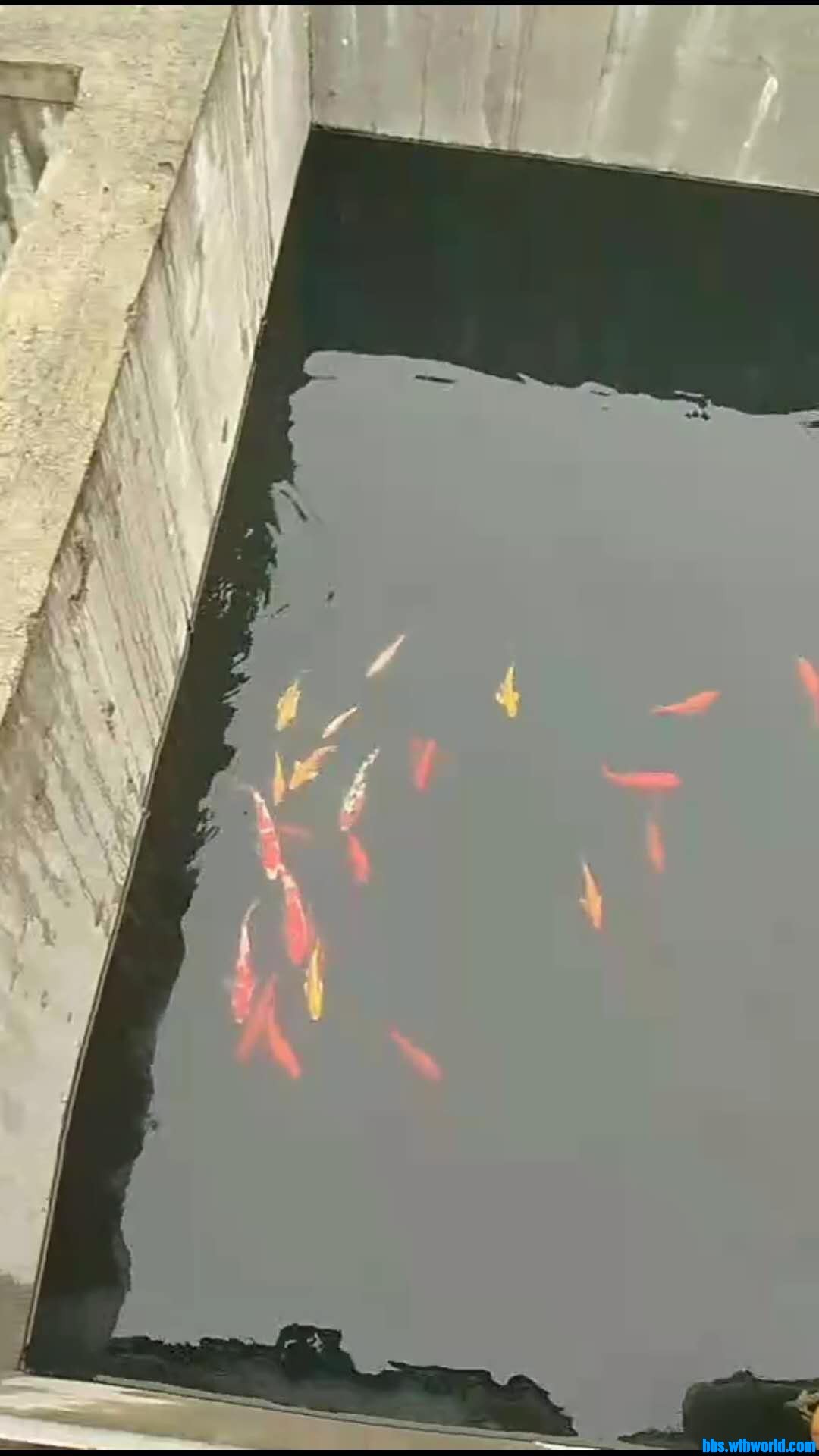 wechat_upload15932221925ef6a430e97ee