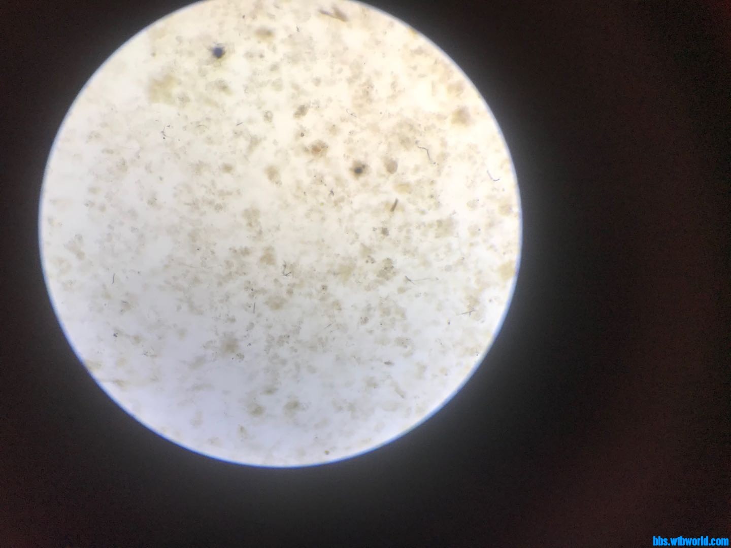 wechat_upload15934025845ef964d8eef85