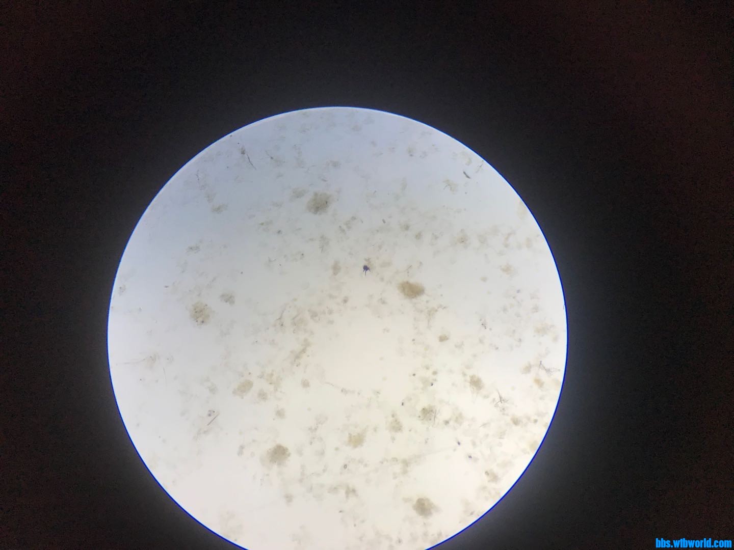 wechat_upload15934025845ef964d8ce043