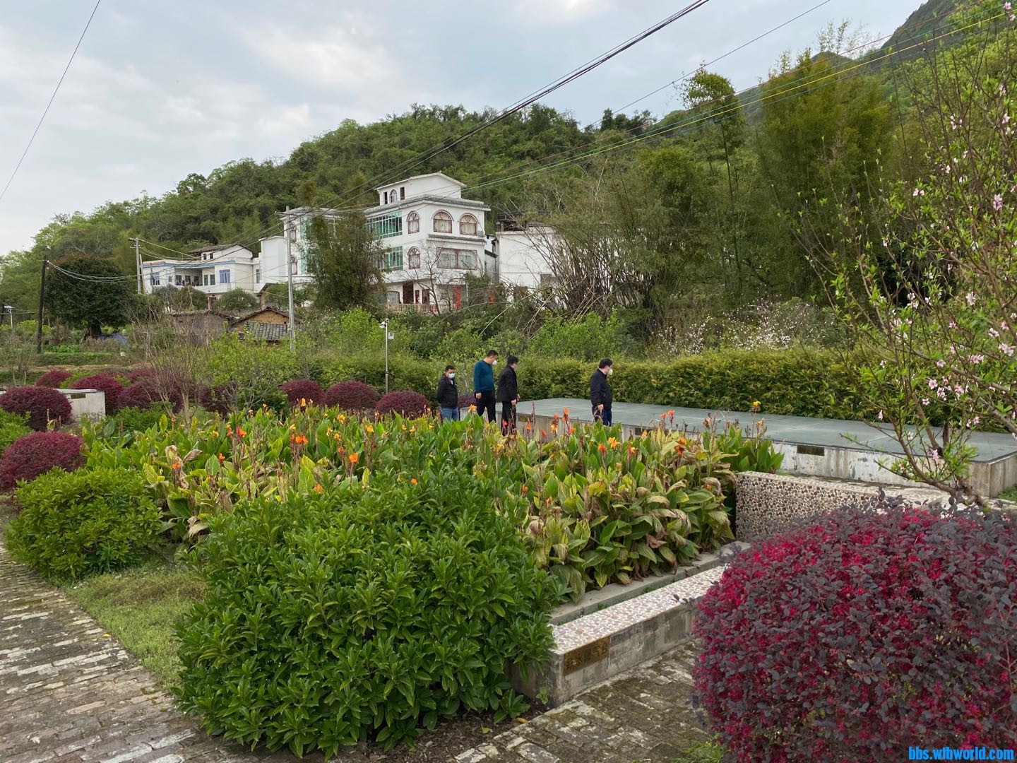 简单厌氧后人工湿地，真正的村镇级污水，不是县和乡哦