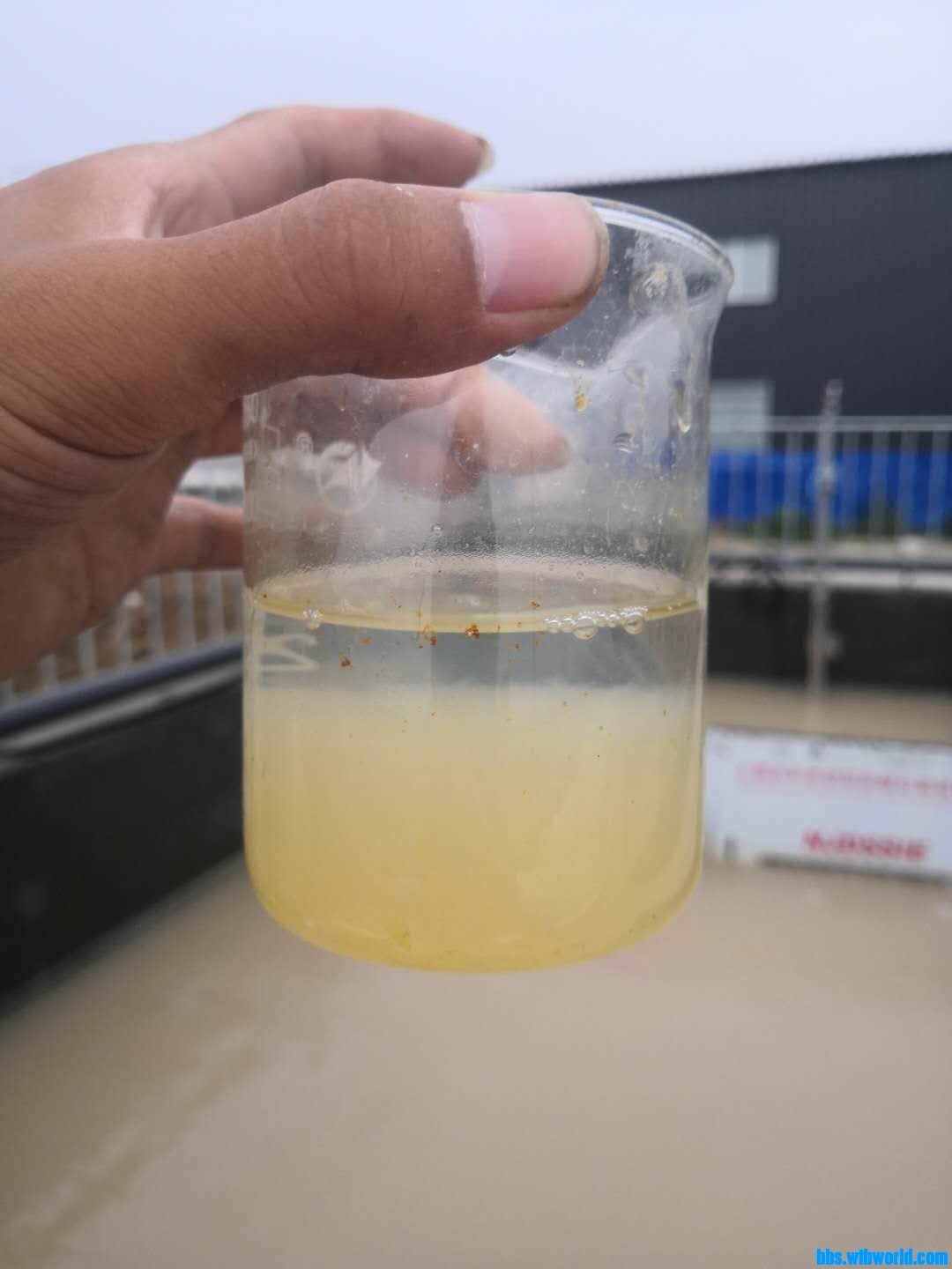 wechat_upload15944561505f09785608aa3