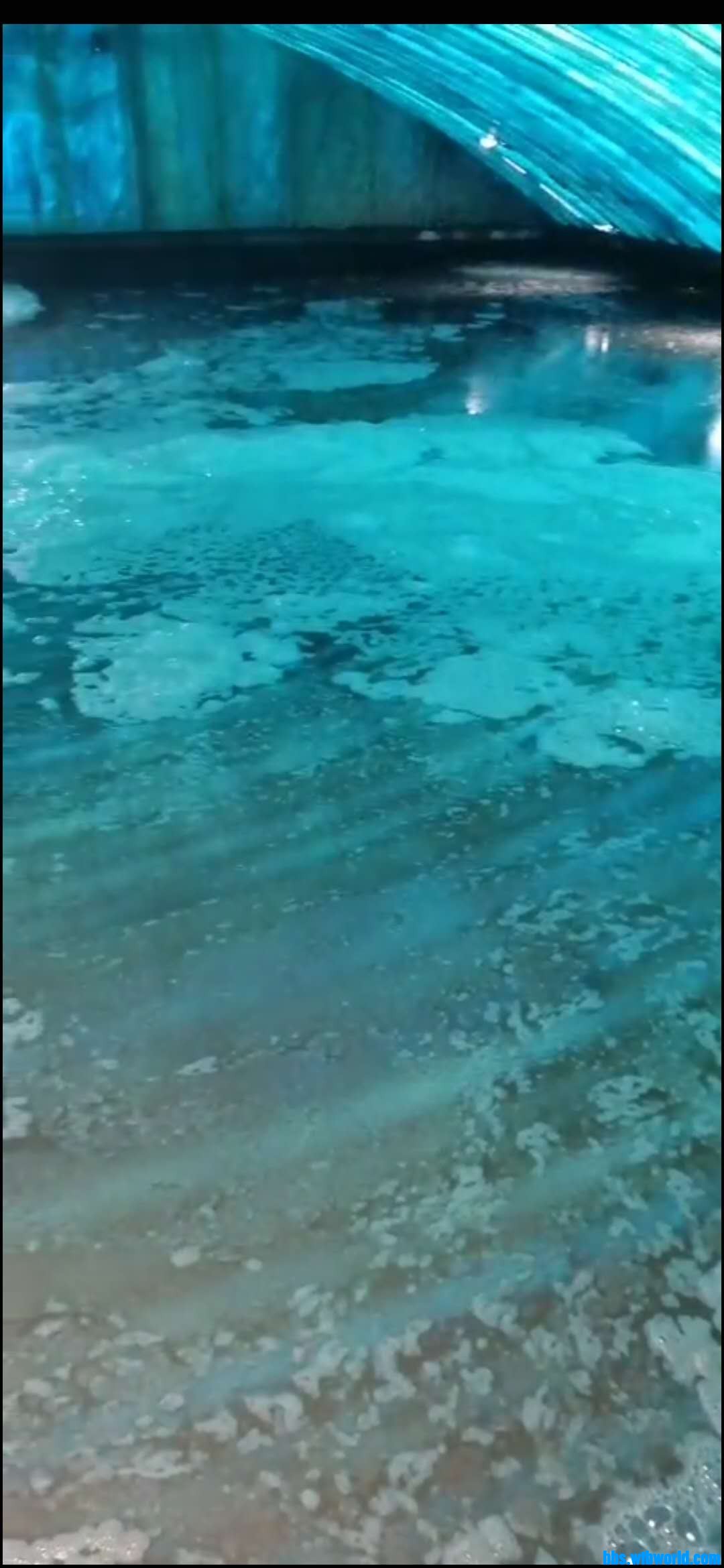 wechat_upload15946123445f0bda788f50c