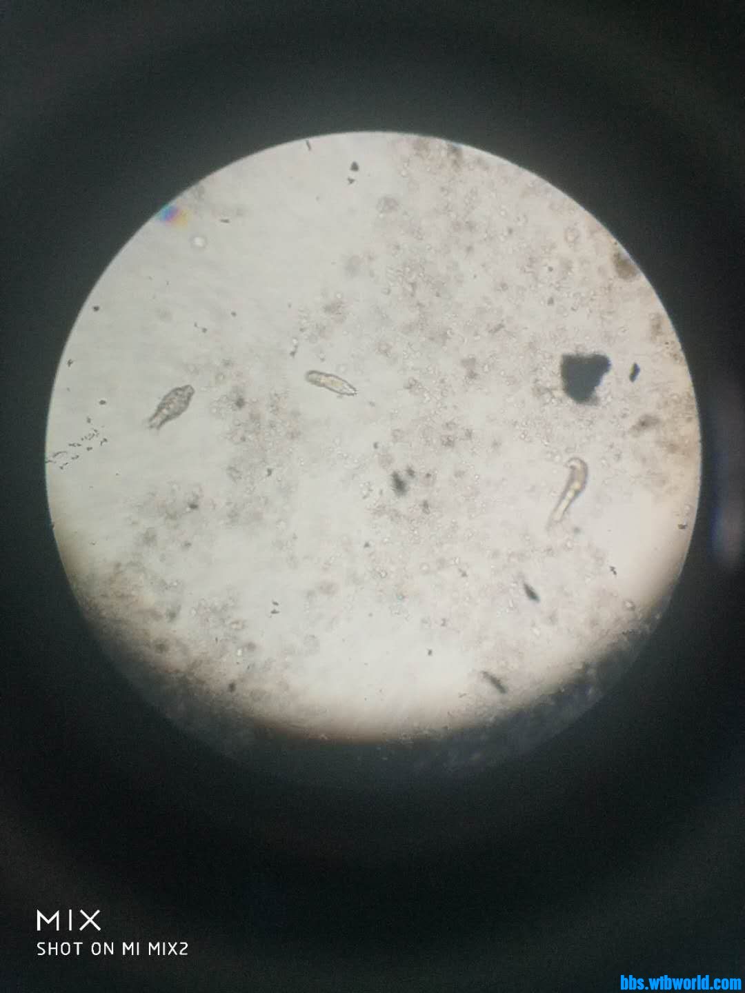 wechat_upload15946123445f0bda78f26a0