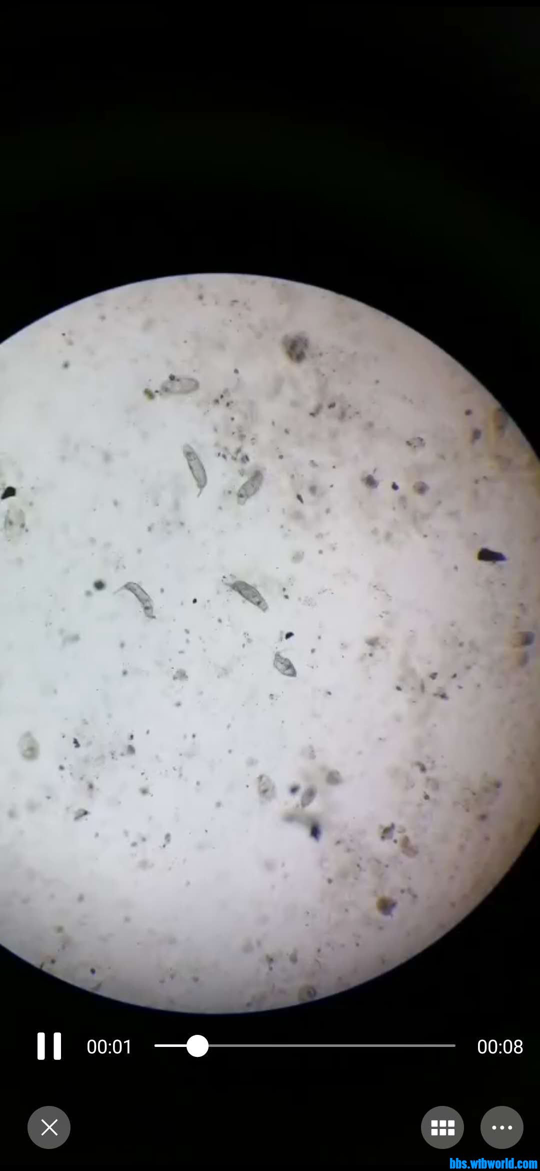 wechat_upload15946123455f0bda791ec15