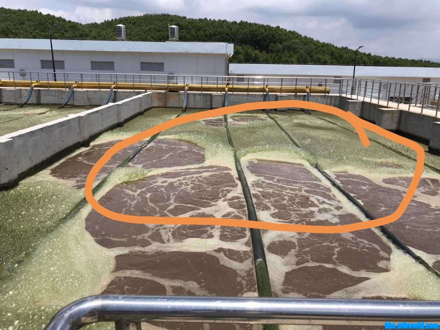 wechat_upload15947691325f0e3eec0368d