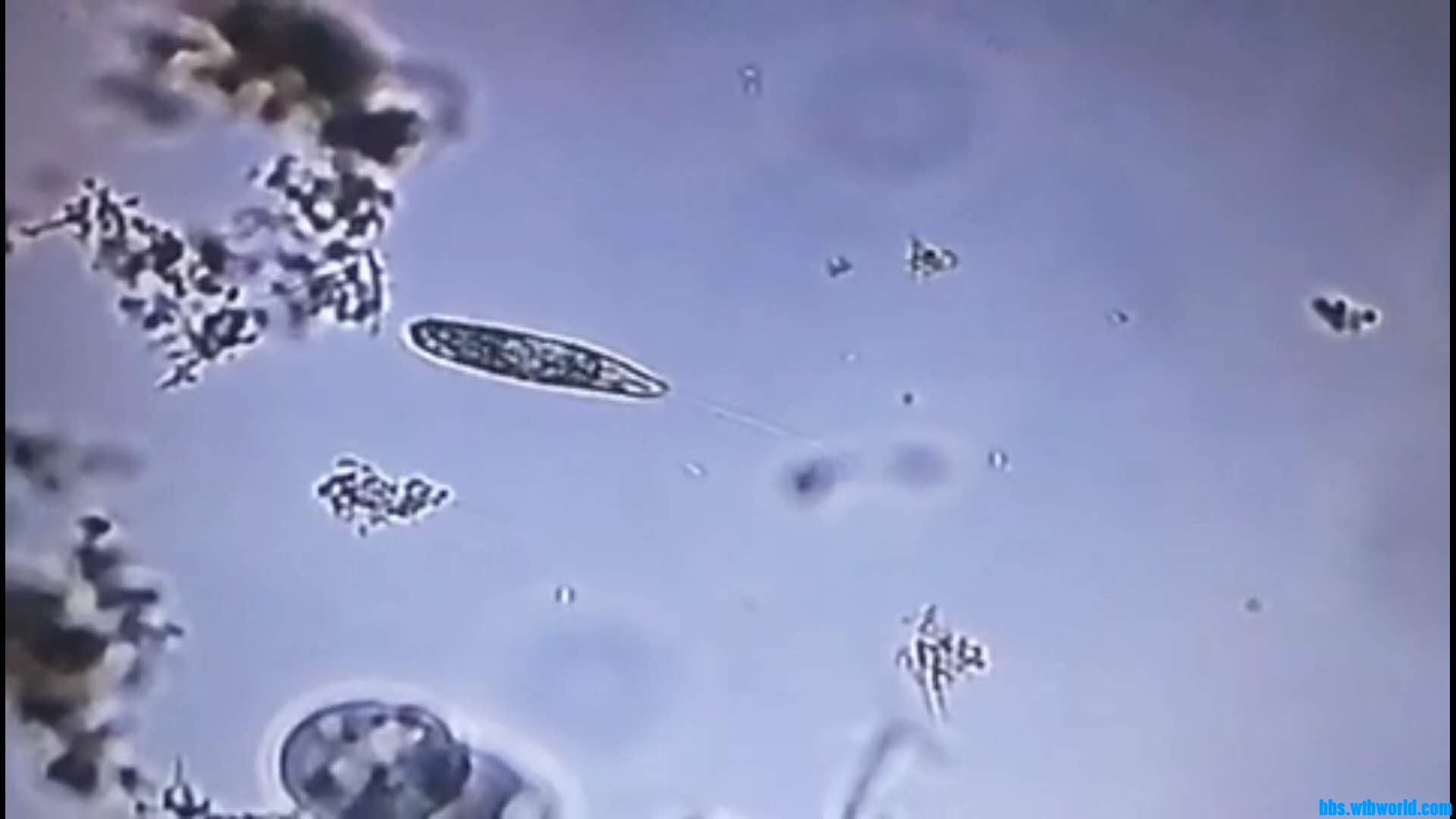 wechat_upload15948731225f0fd5226cc64