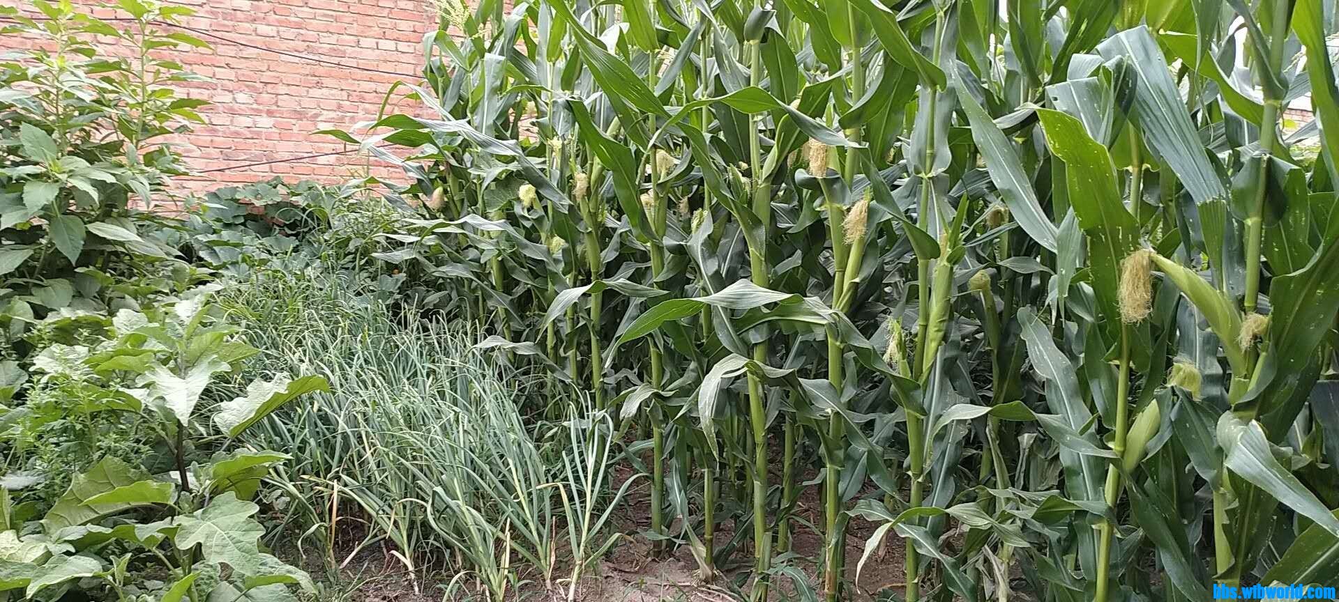 wechat_upload15949797745f1175be0b749