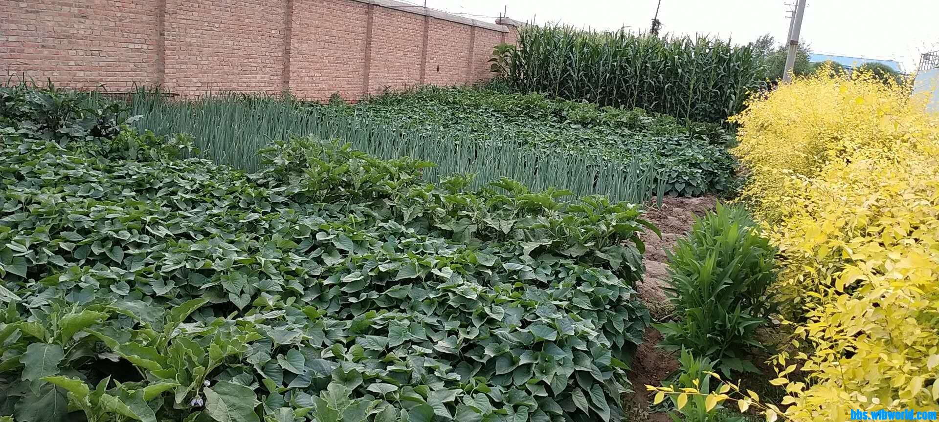 wechat_upload15949798145f1175e6147f3