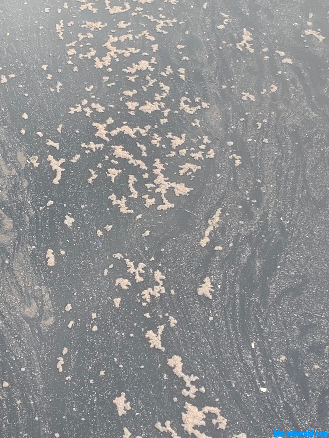 wechat_upload15955892885f1ac2a831433