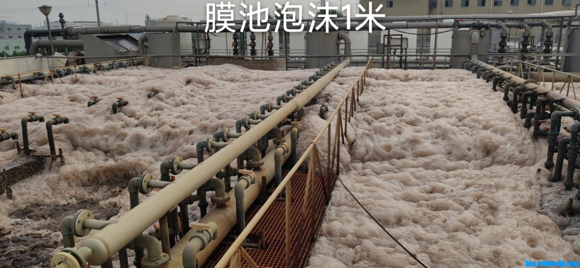 wechat_upload15958374025f1e8bdae577a