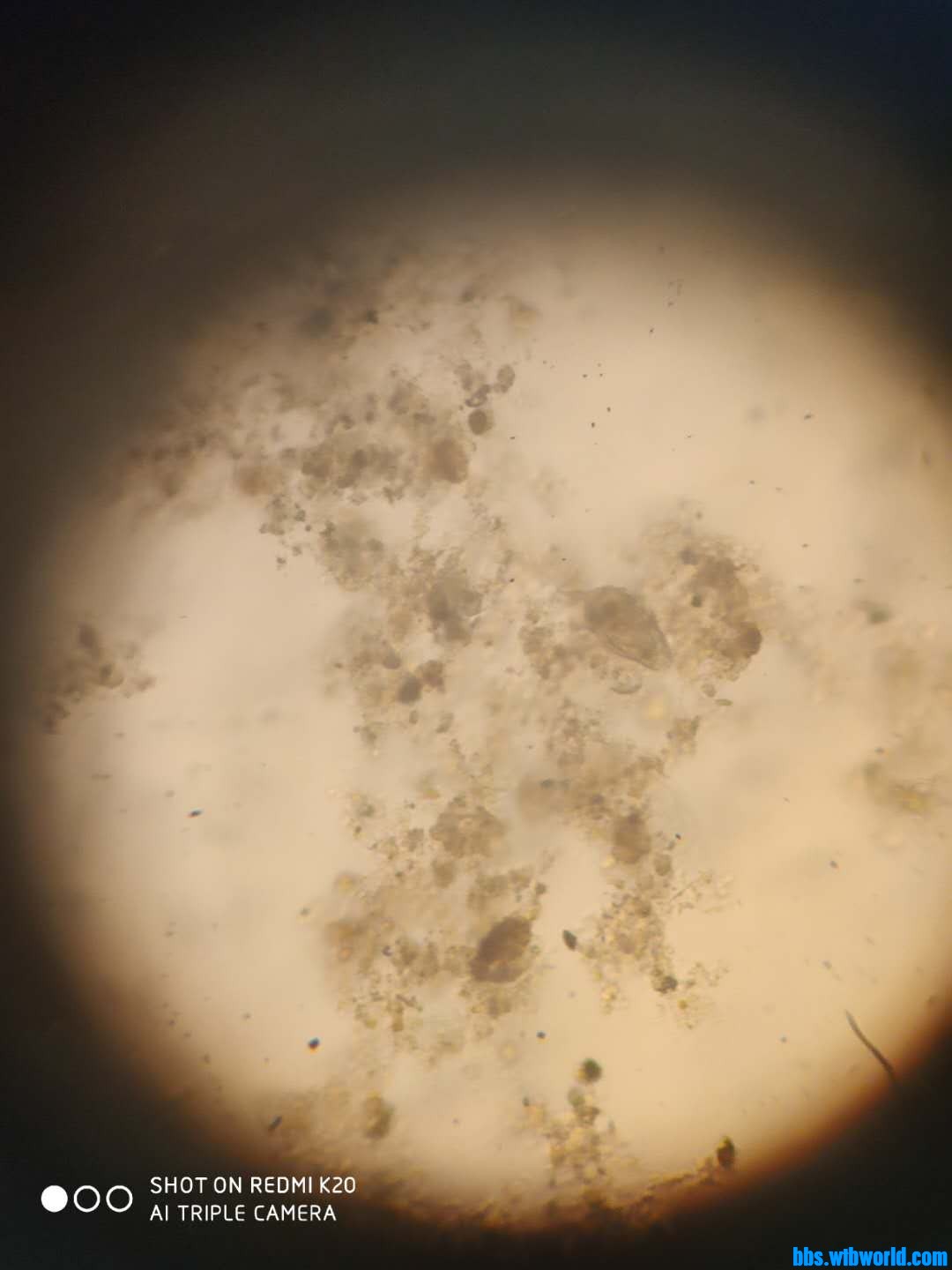 wechat_upload15960713505f221db6d2397