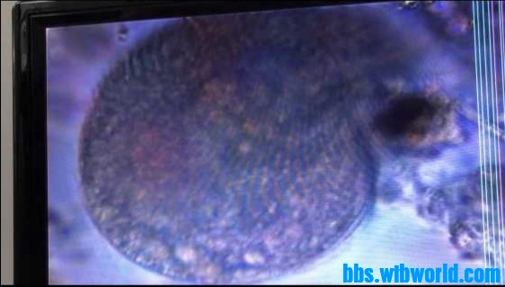 wechat_upload15962751155f2539abab085