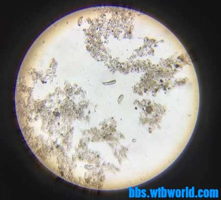 wechat_upload15963732545f26b90677367