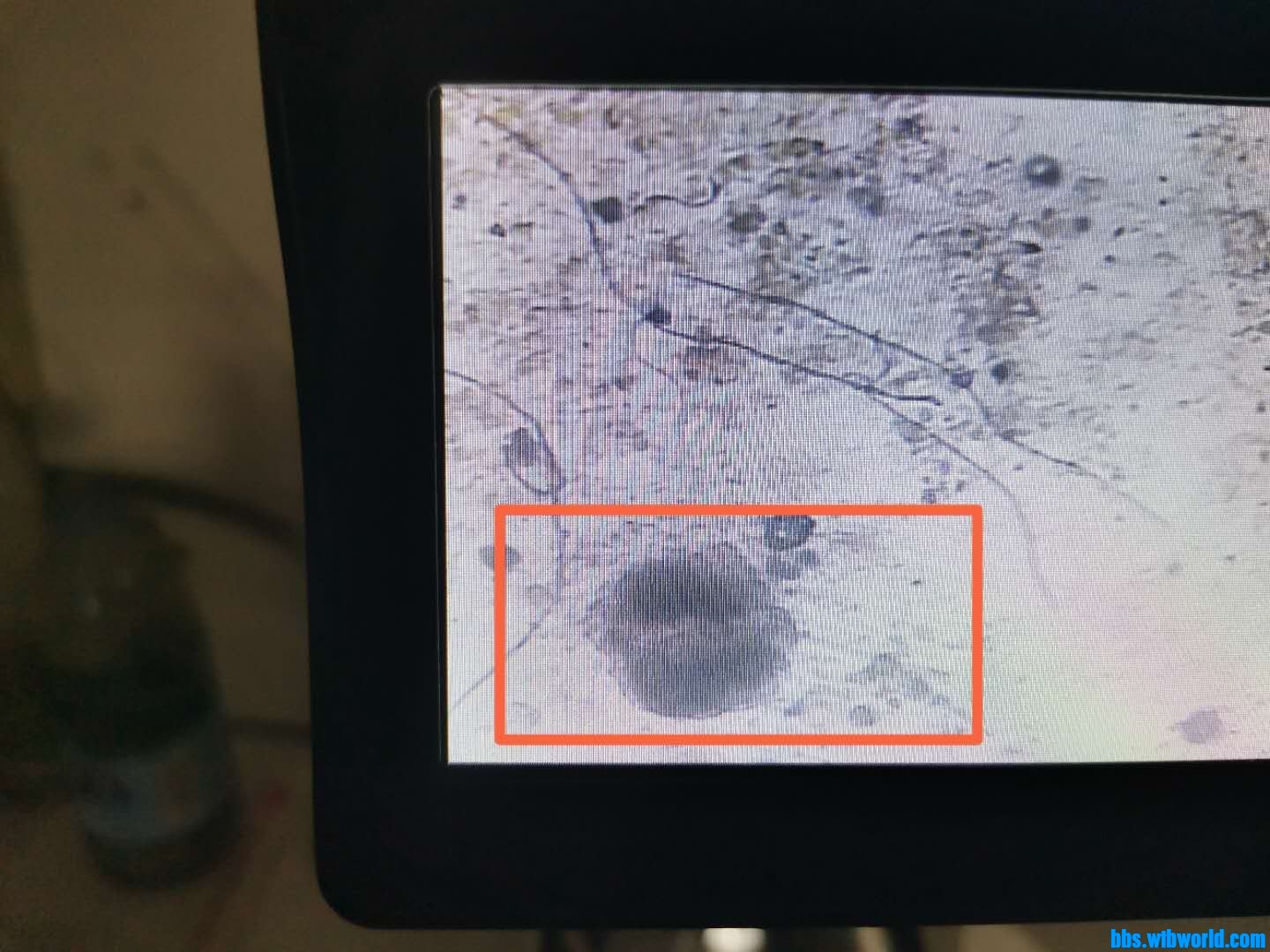 wechat_upload15967014115f2bbae375523