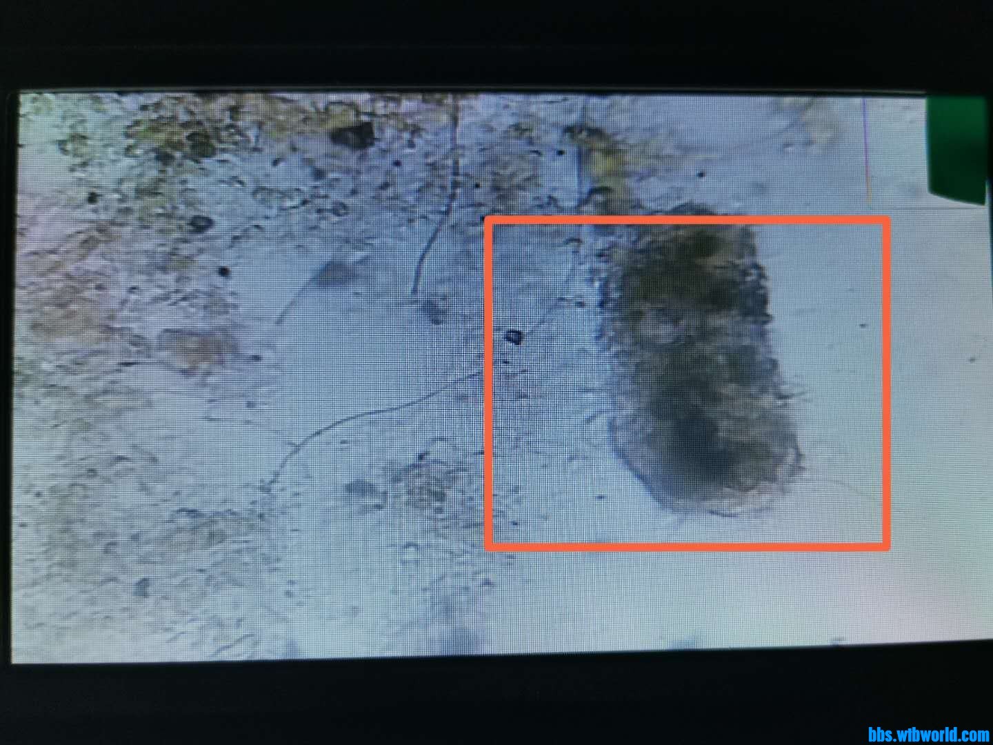 wechat_upload15967014115f2bbae34f9a8