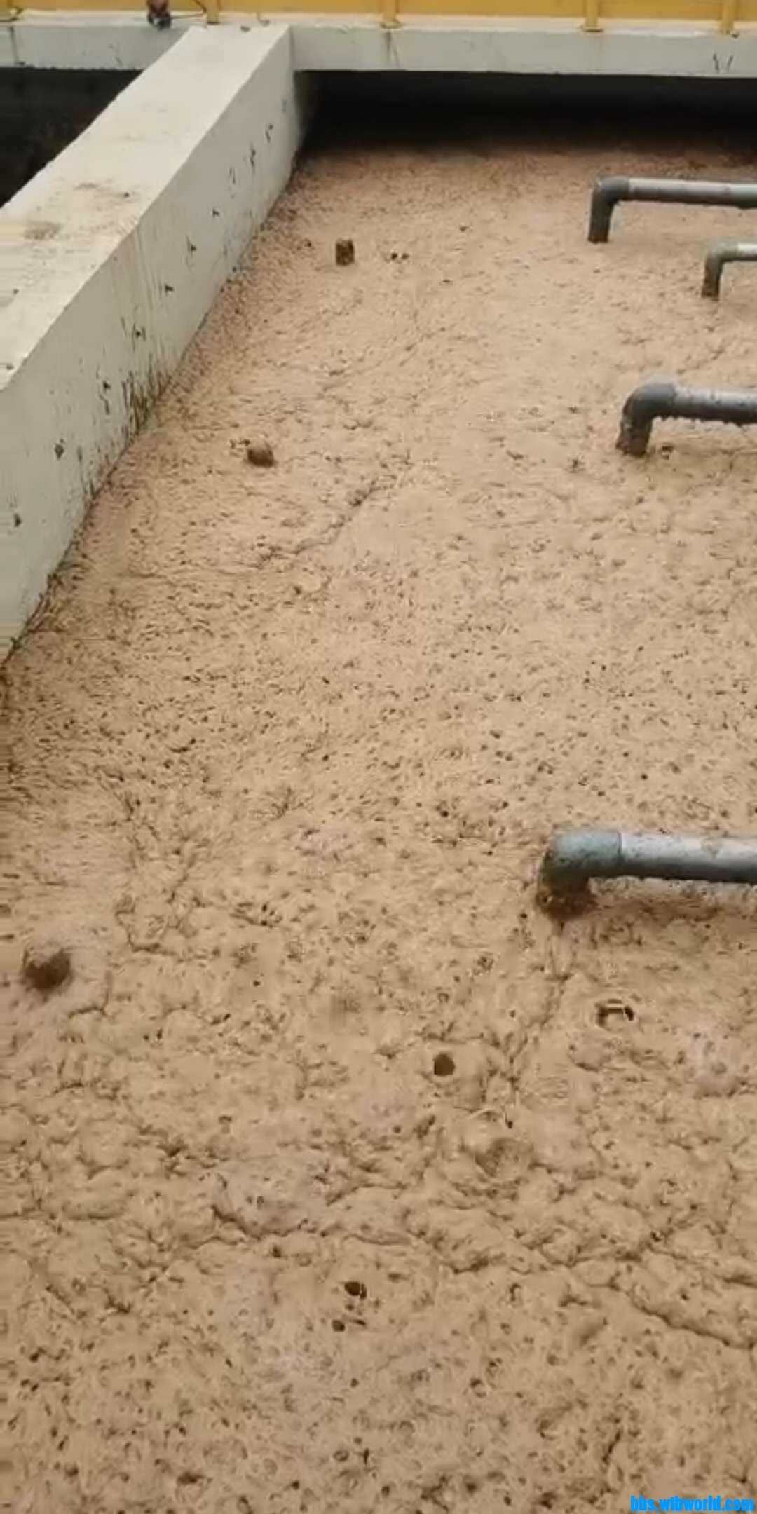 wechat_upload15969347305f2f4a4a0a966