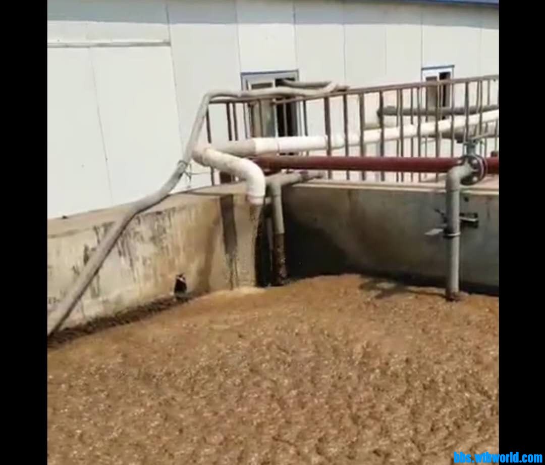 wechat_upload15971574275f32b033d0ec6