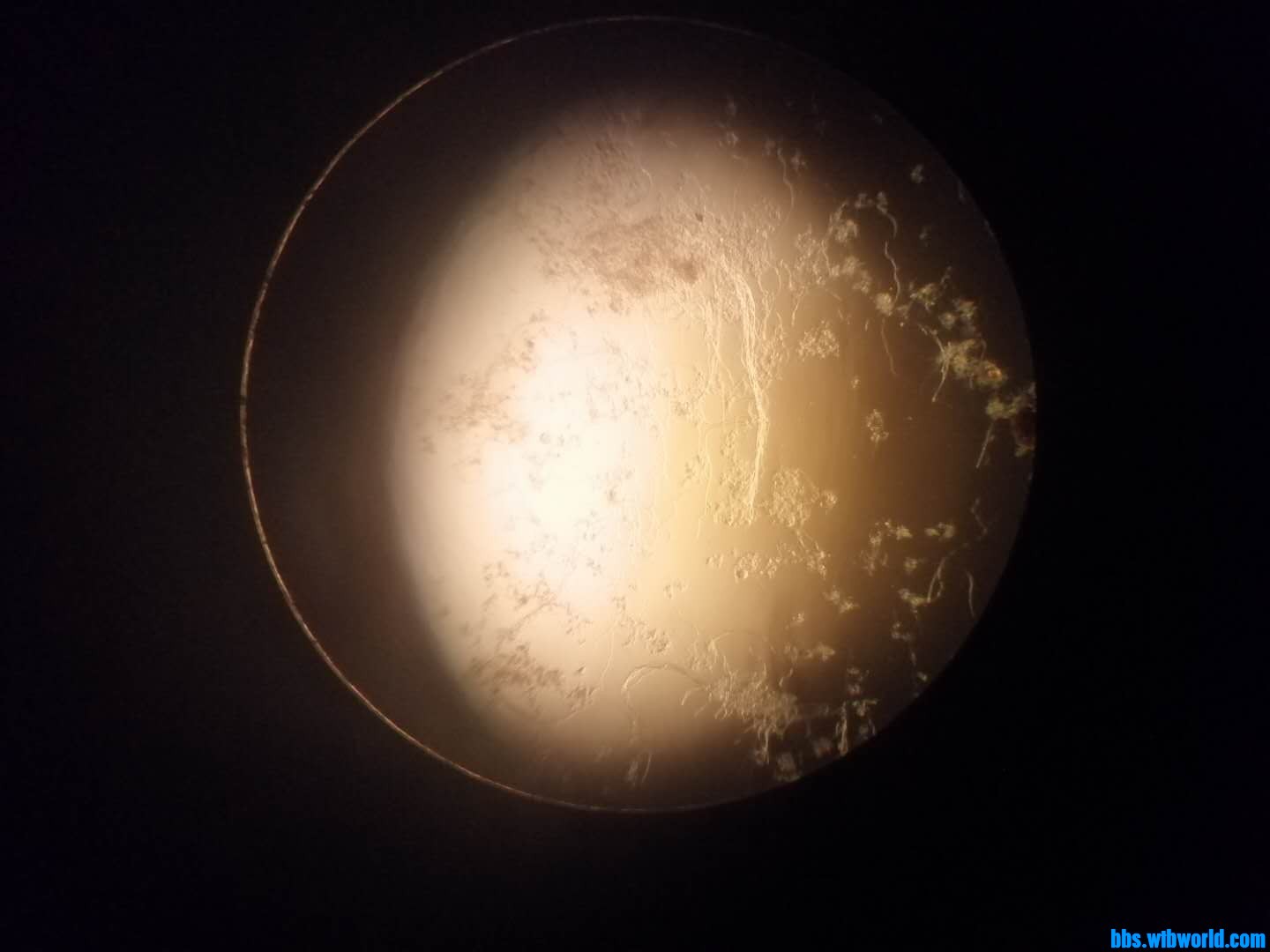 wechat_upload15974420065f3707d6ec541