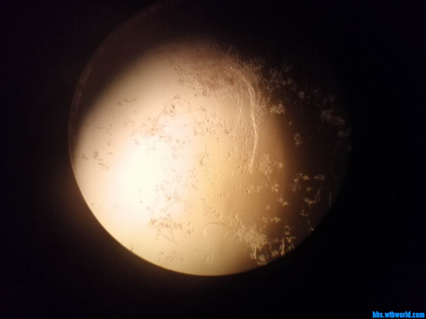 wechat_upload15974556355f373d130778e