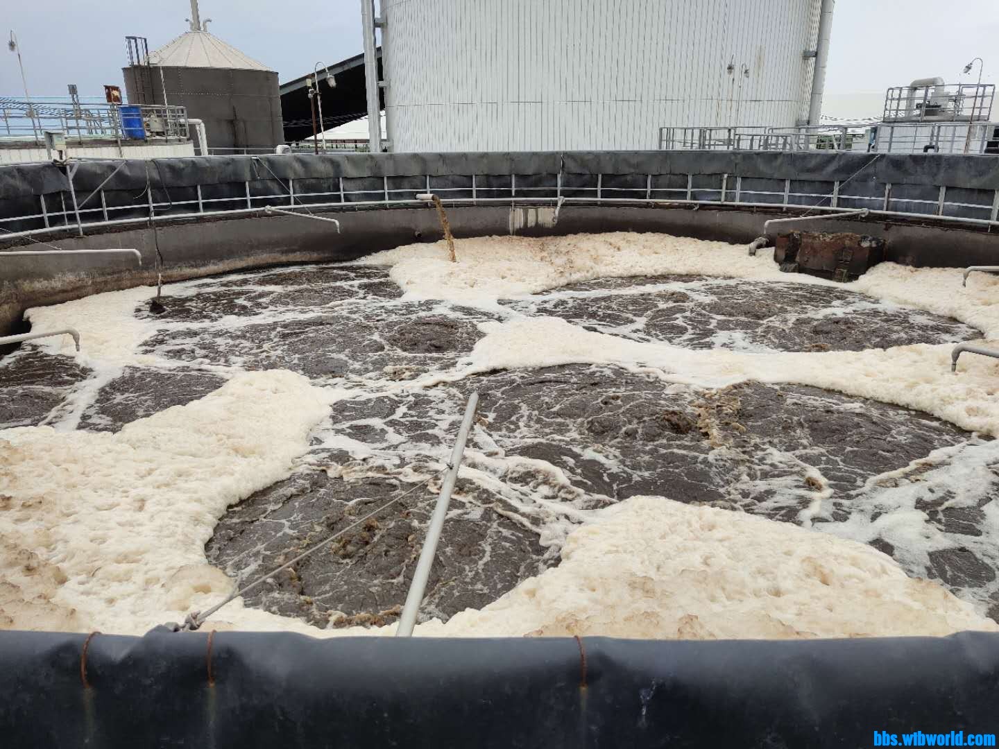 wechat_upload15974787795f37977be00d6