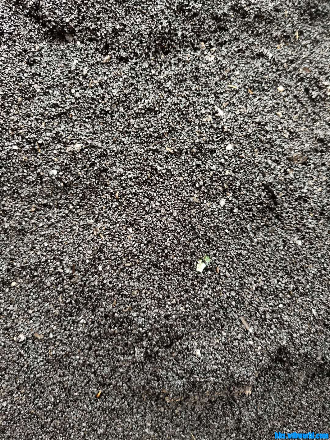 wechat_upload15975511945f38b25a3638c