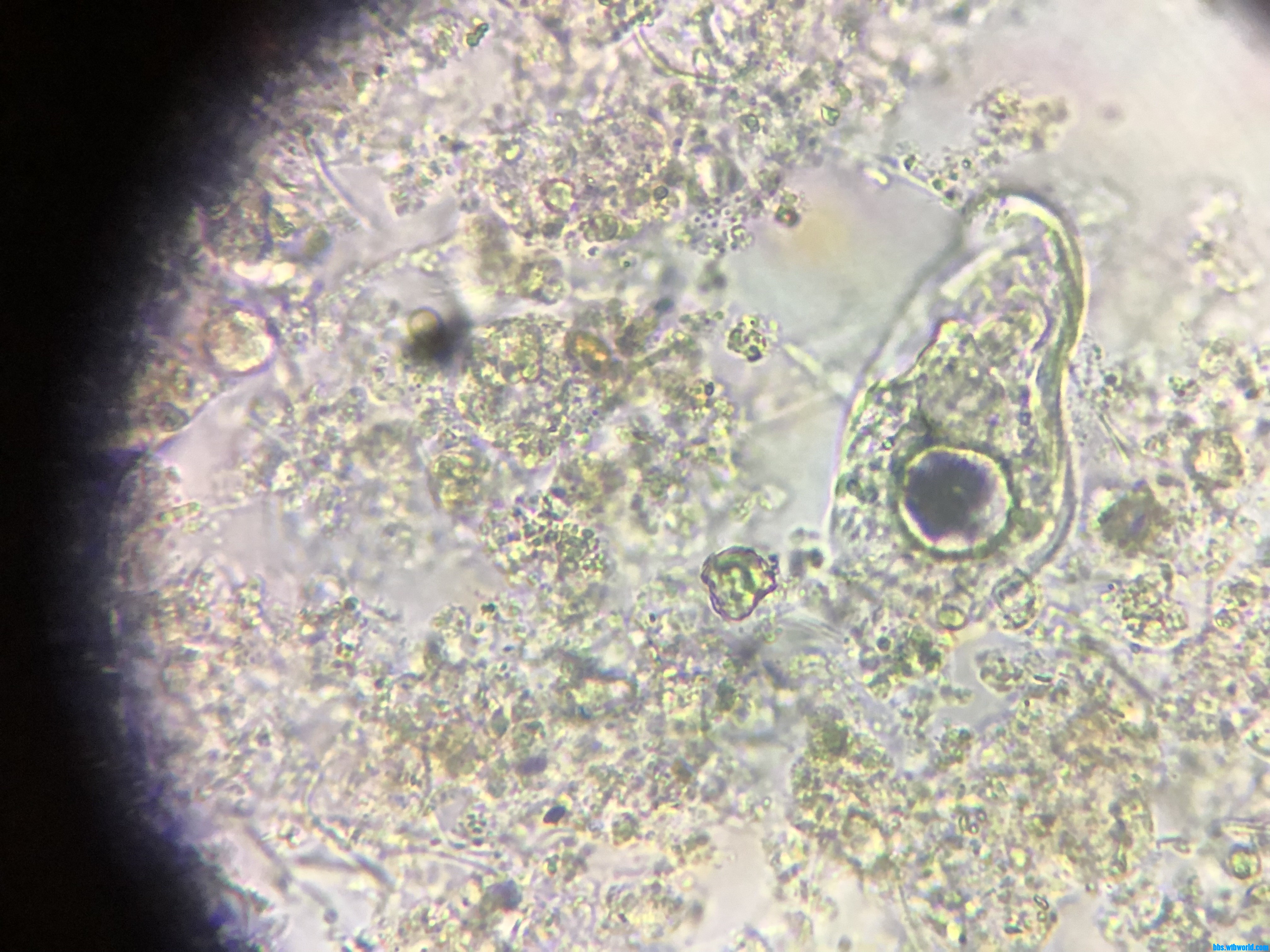 wechat_upload15978215625f3cd27a0465f