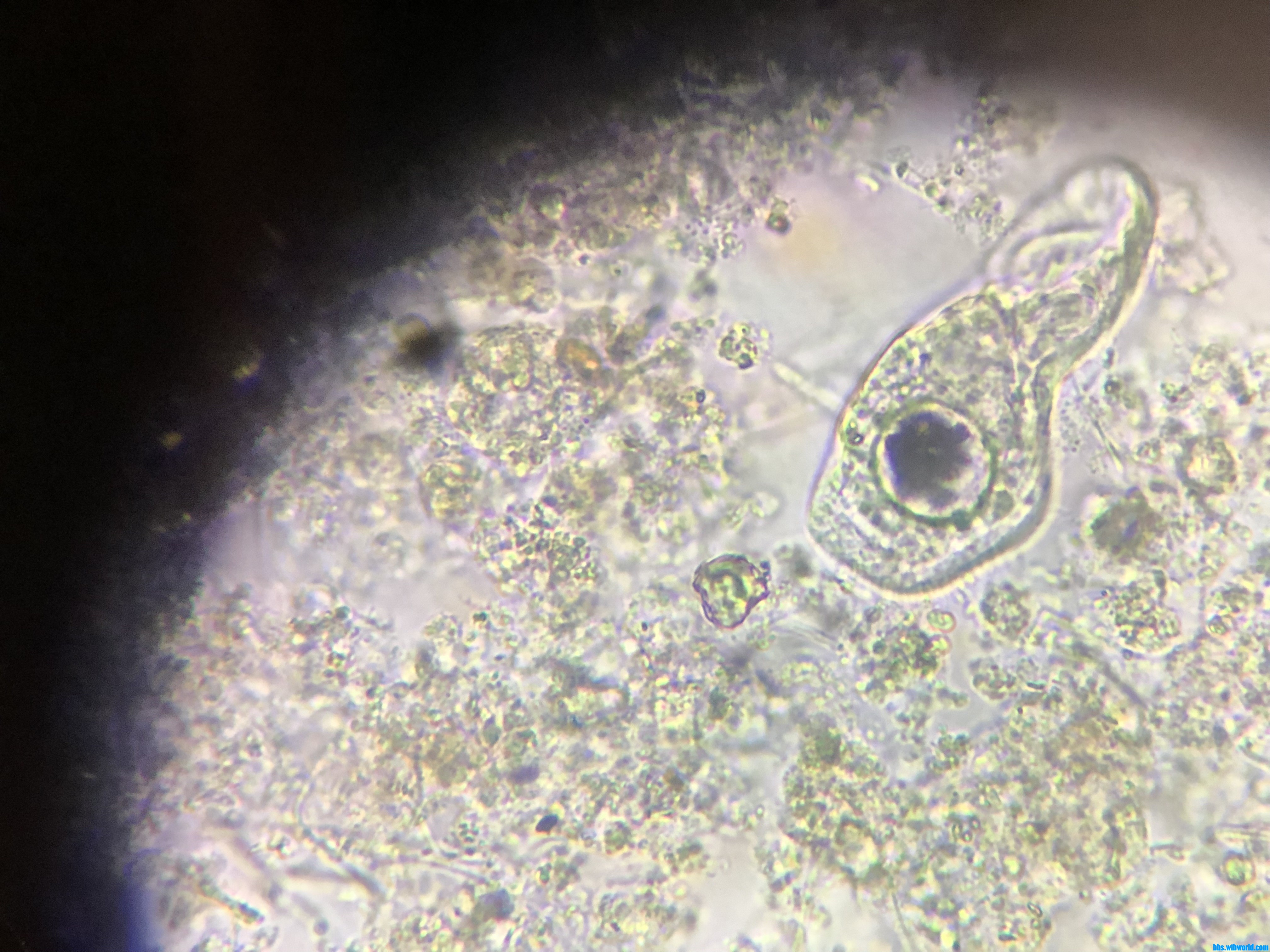 wechat_upload15978215625f3cd27aa950b