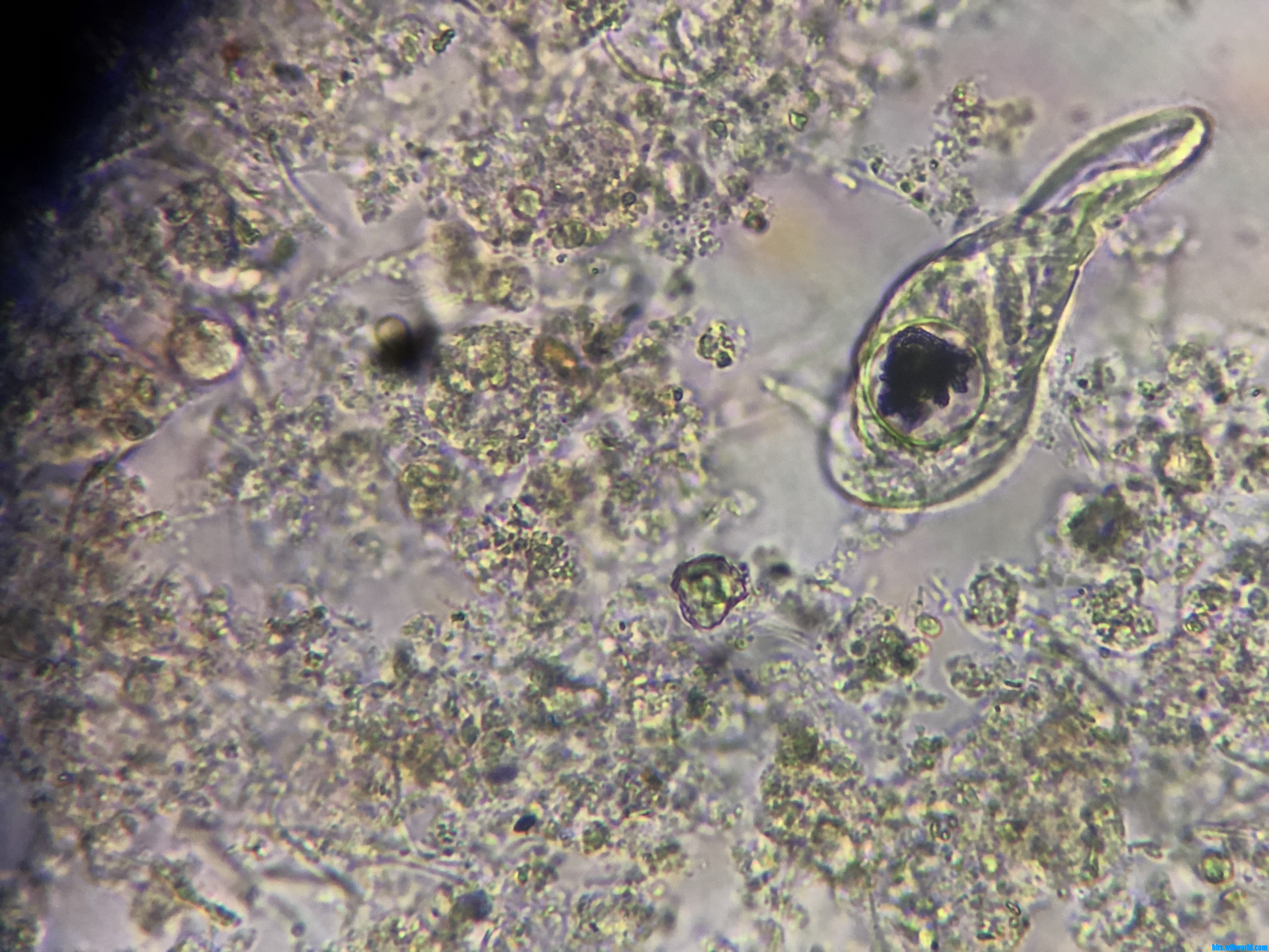 wechat_upload15978215635f3cd27b73800