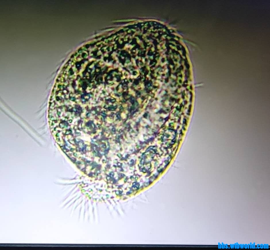 wechat_upload15980980775f410a9d93e34