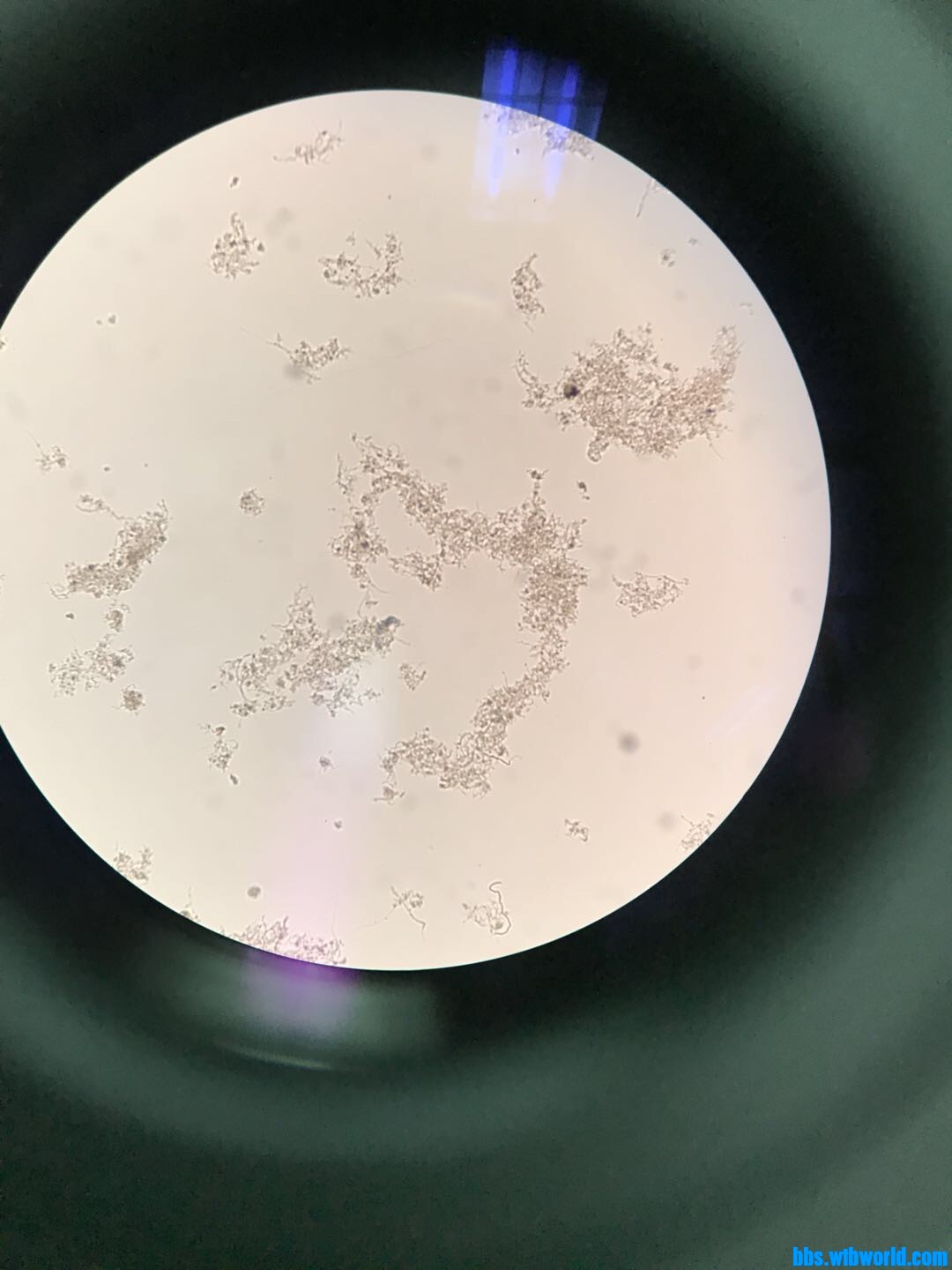 wechat_upload15982383265f432e762fe7f