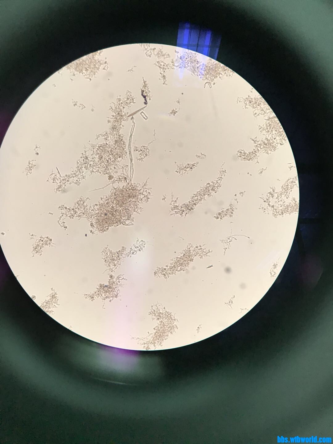 wechat_upload15982383265f432e7609c30