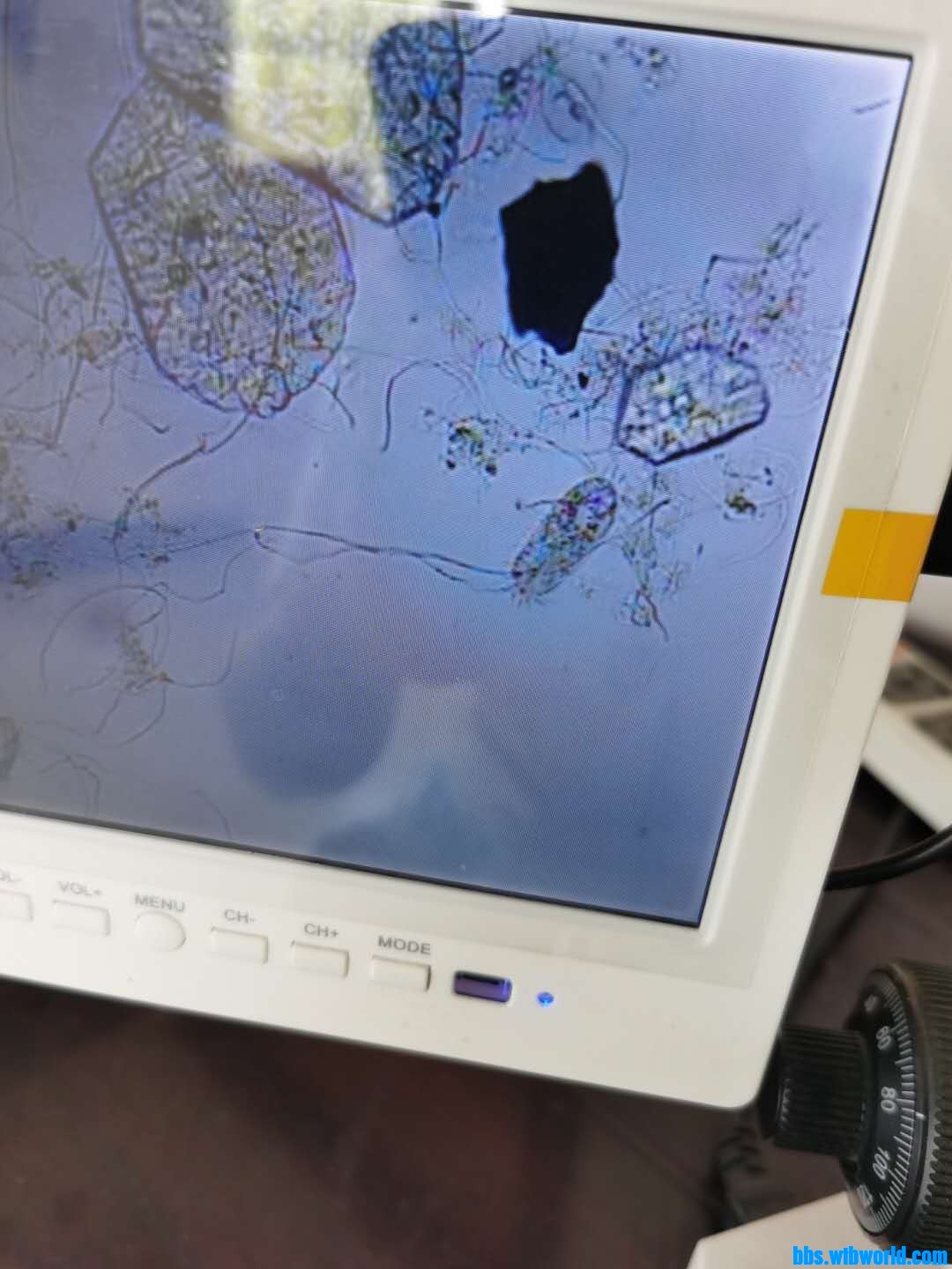 wechat_upload15982560375f4373a505779