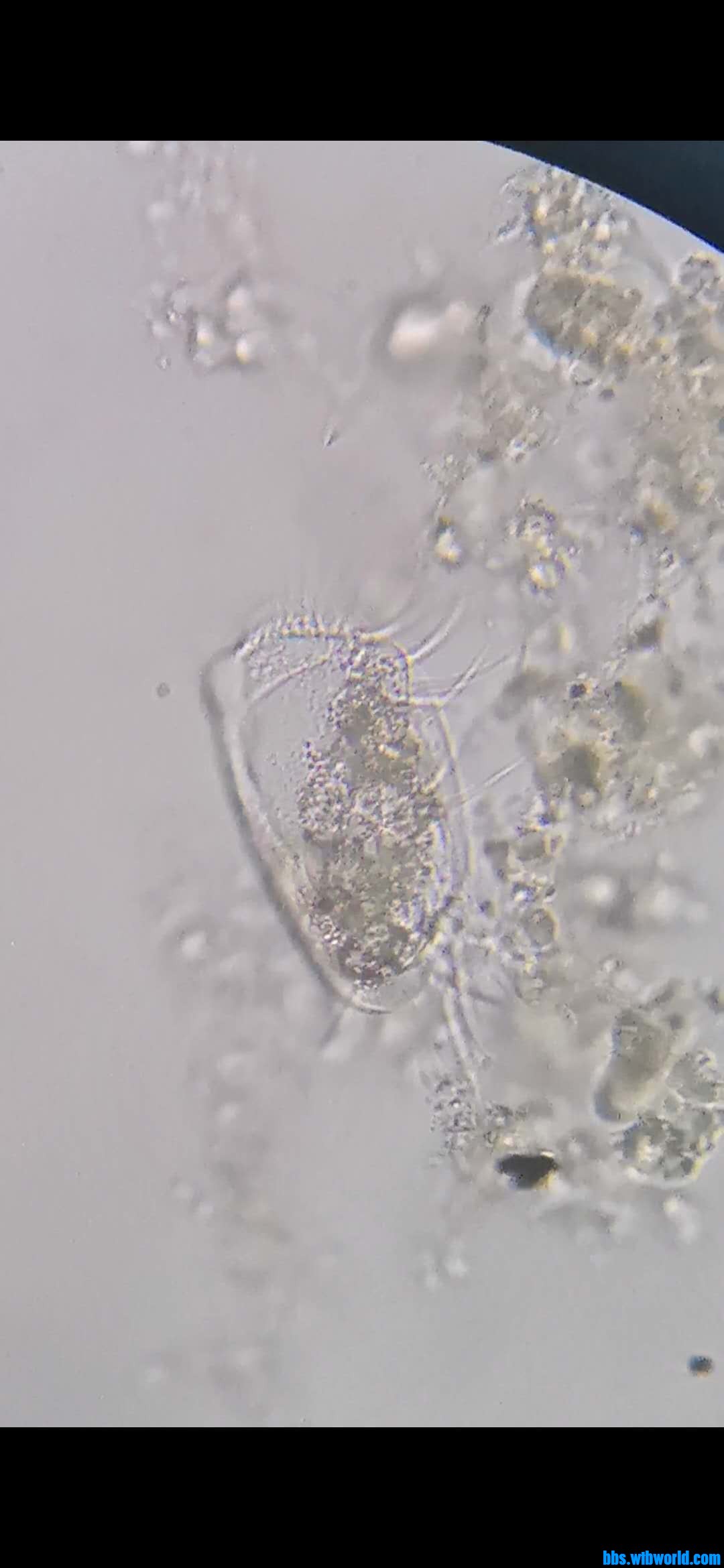 wechat_upload15982656675f439943b9f8e