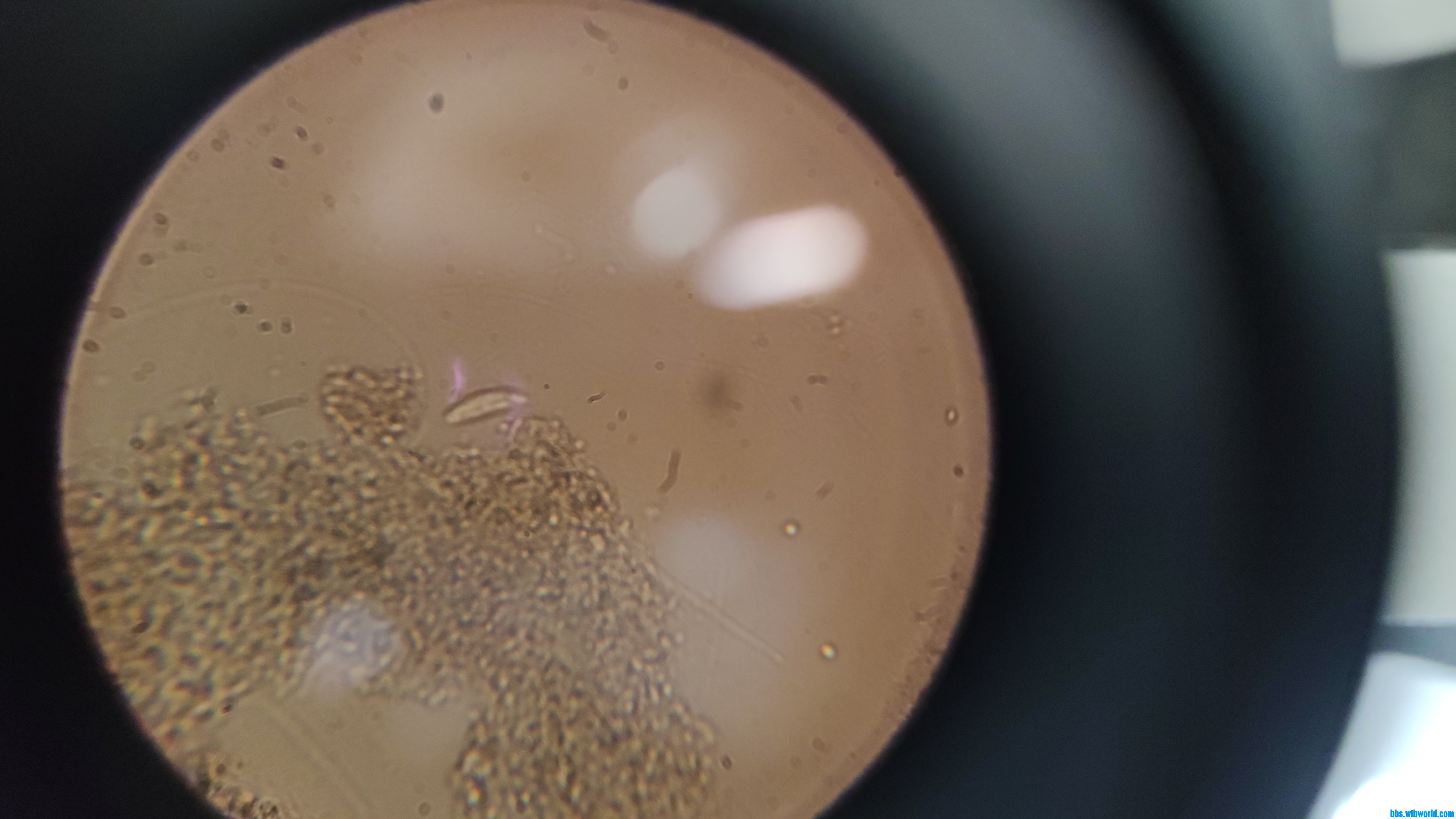 wechat_upload15983189265f44694ea0567