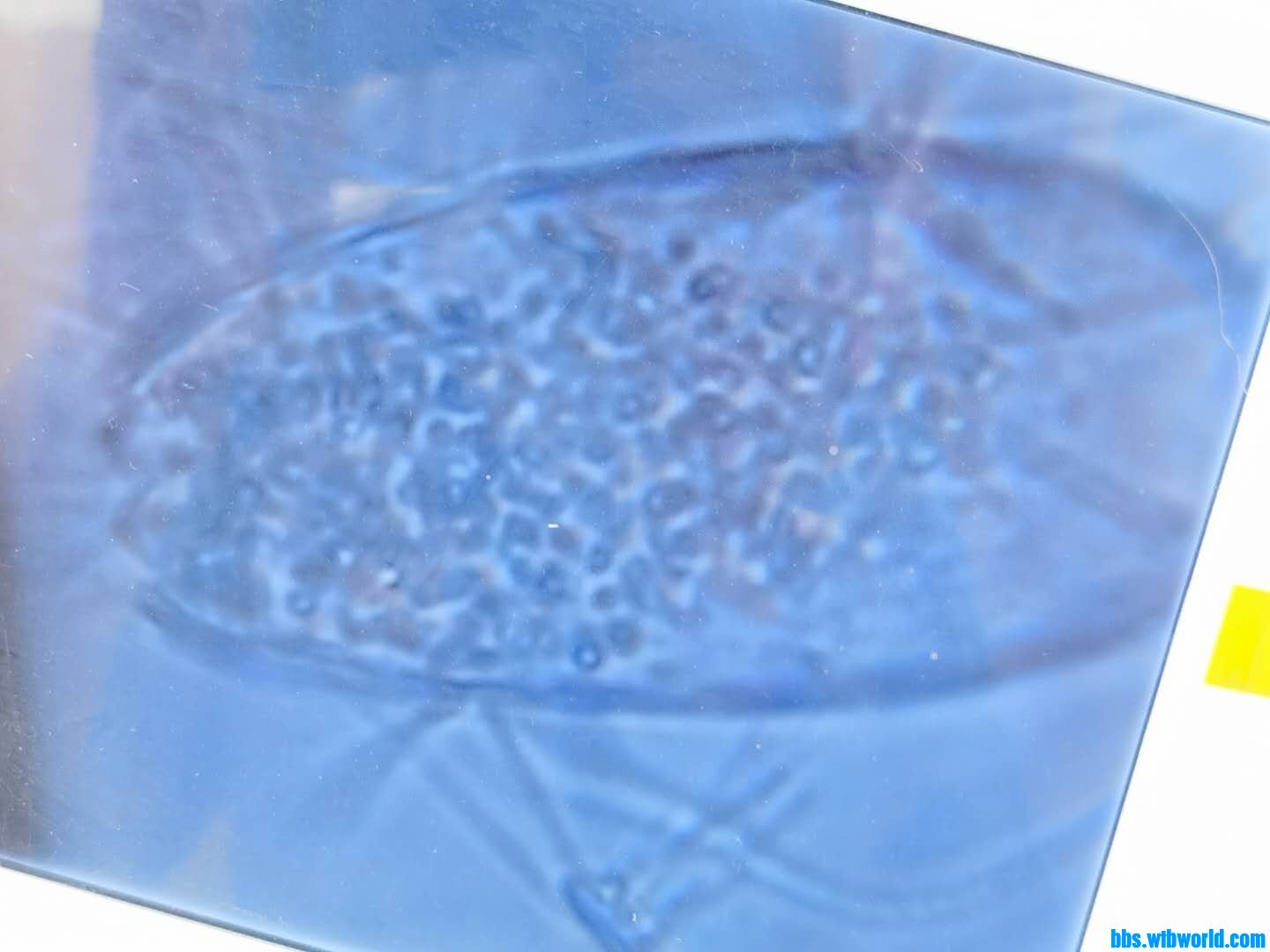 wechat_upload15983485175f44dce5840e2