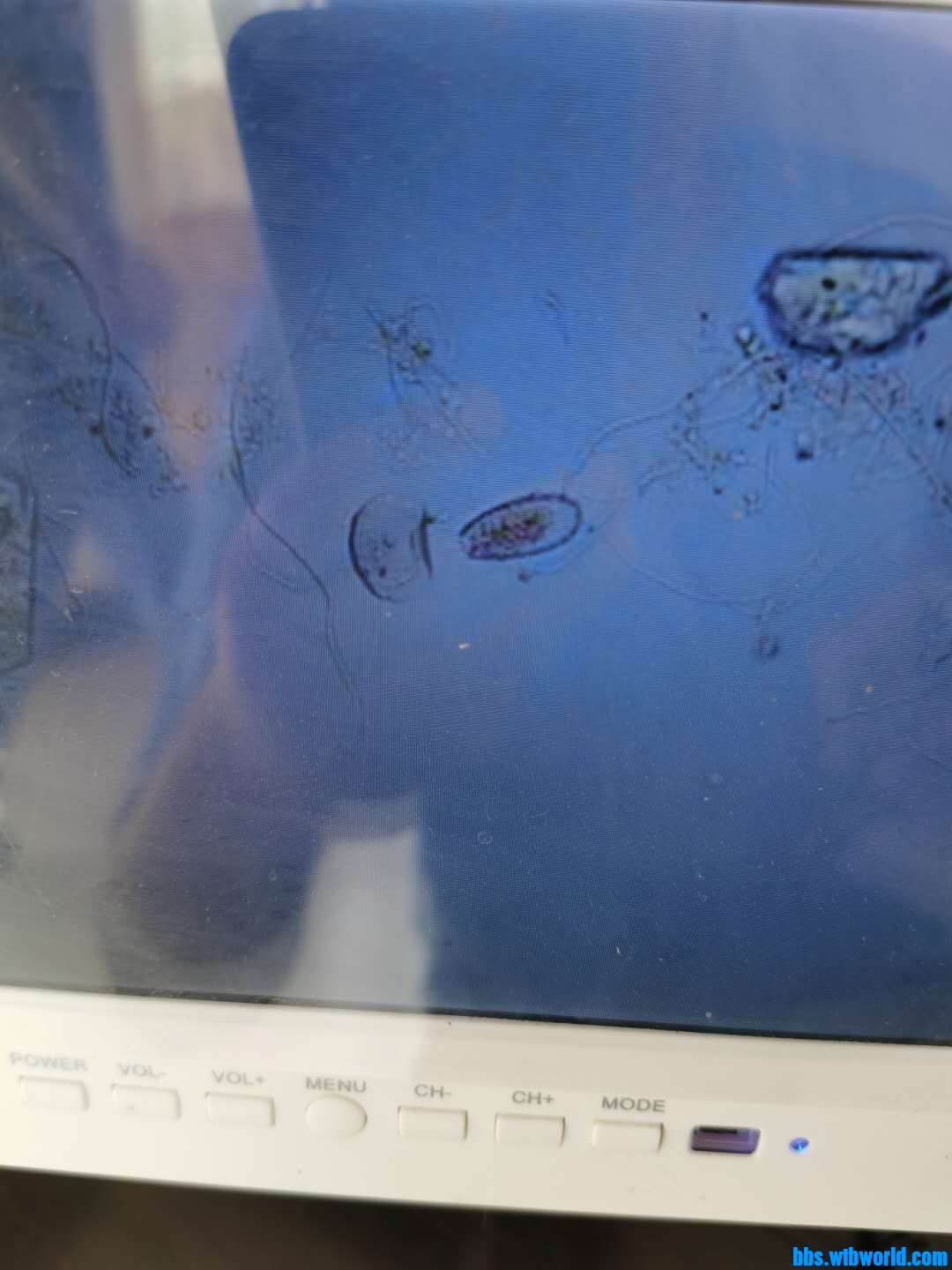 wechat_upload15983485175f44dce537077