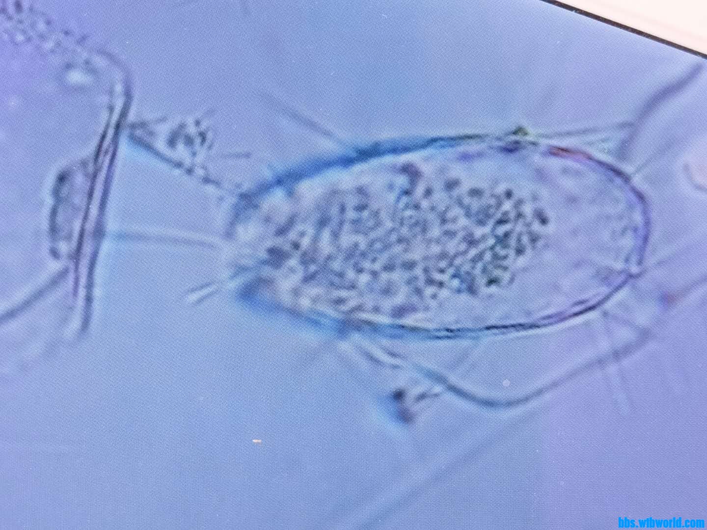 wechat_upload15983485175f44dce55fa79