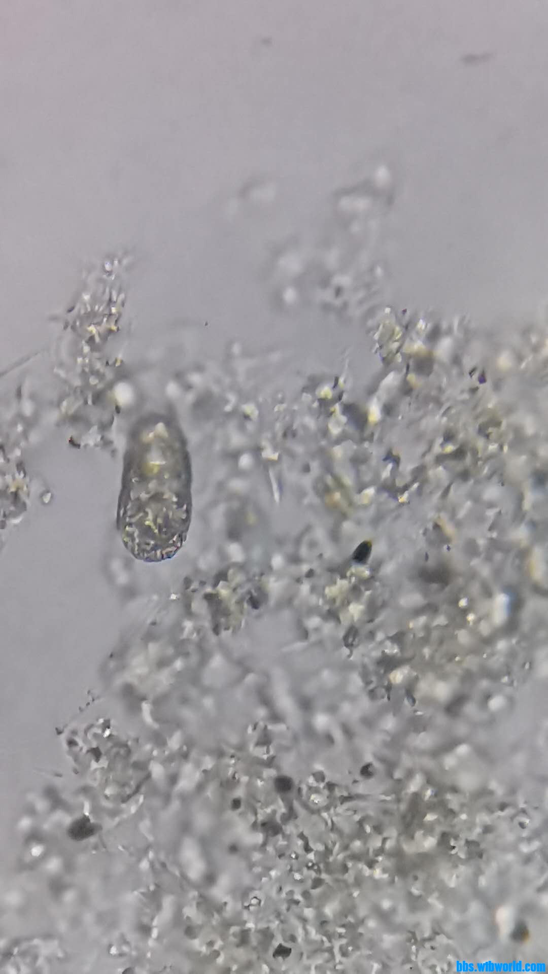 wechat_upload15983518715f44e9ff4f4ff