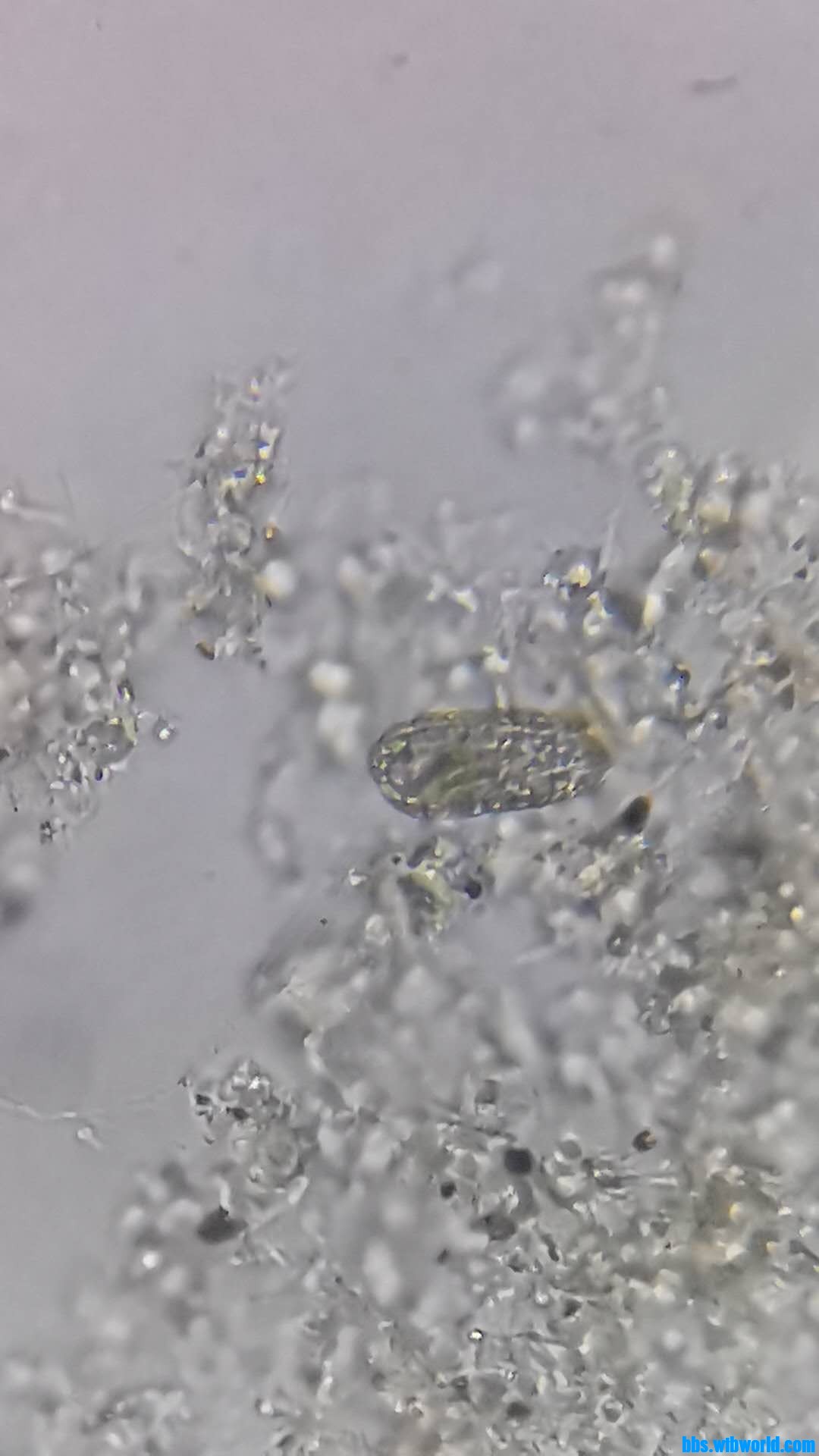 wechat_upload15983518715f44e9ff29841