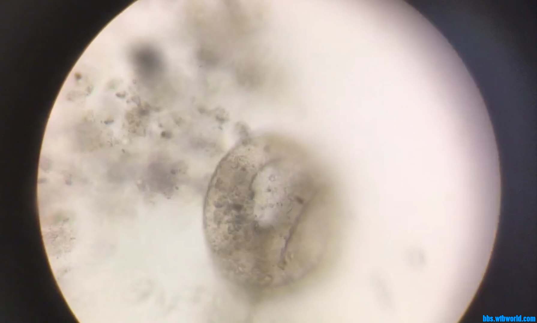 wechat_upload15983697815f452ff538dc5